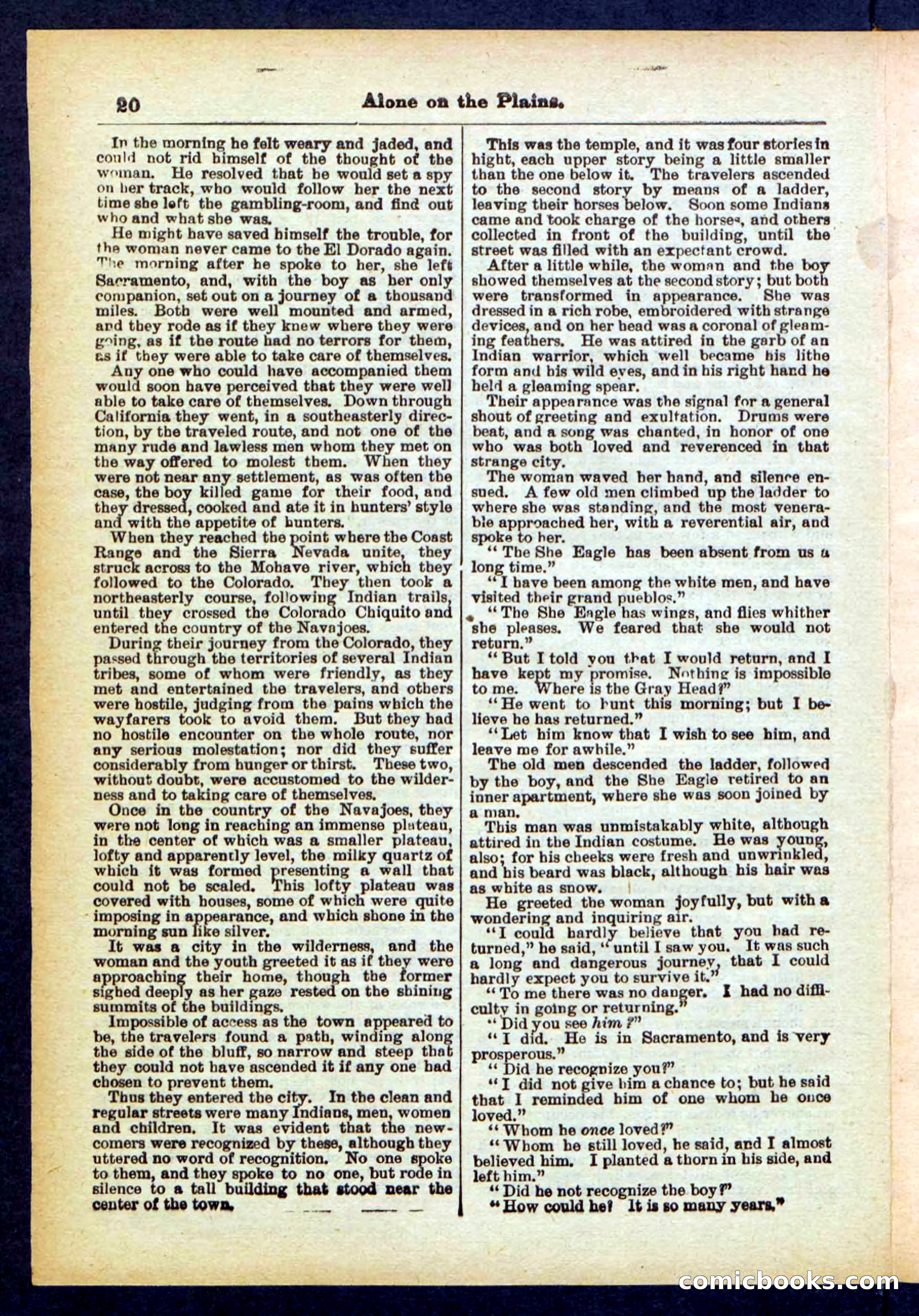 Beadle's Pocket Library No. 429 — page 20 of 32