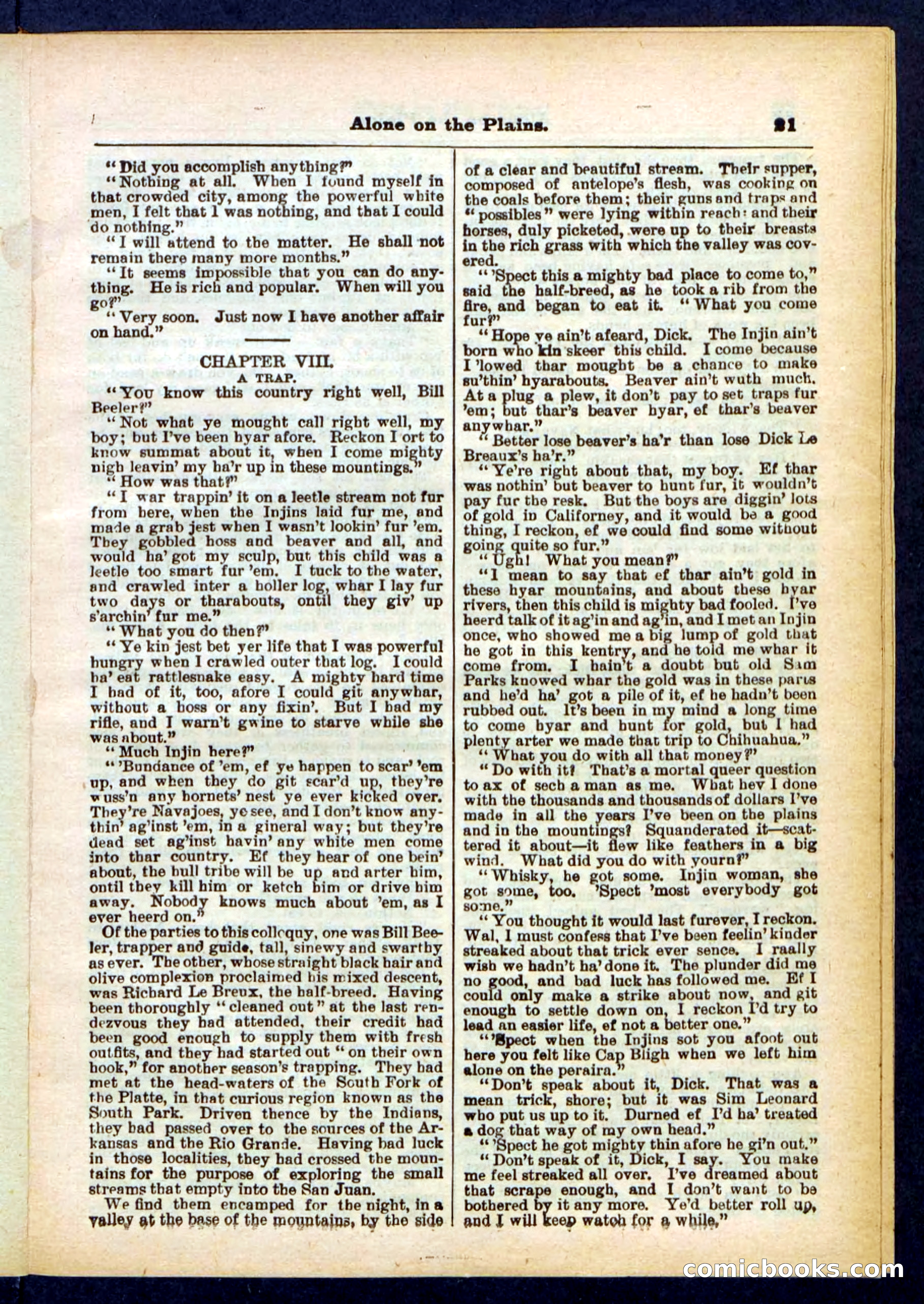Beadle's Pocket Library No. 429 — page 21 of 32