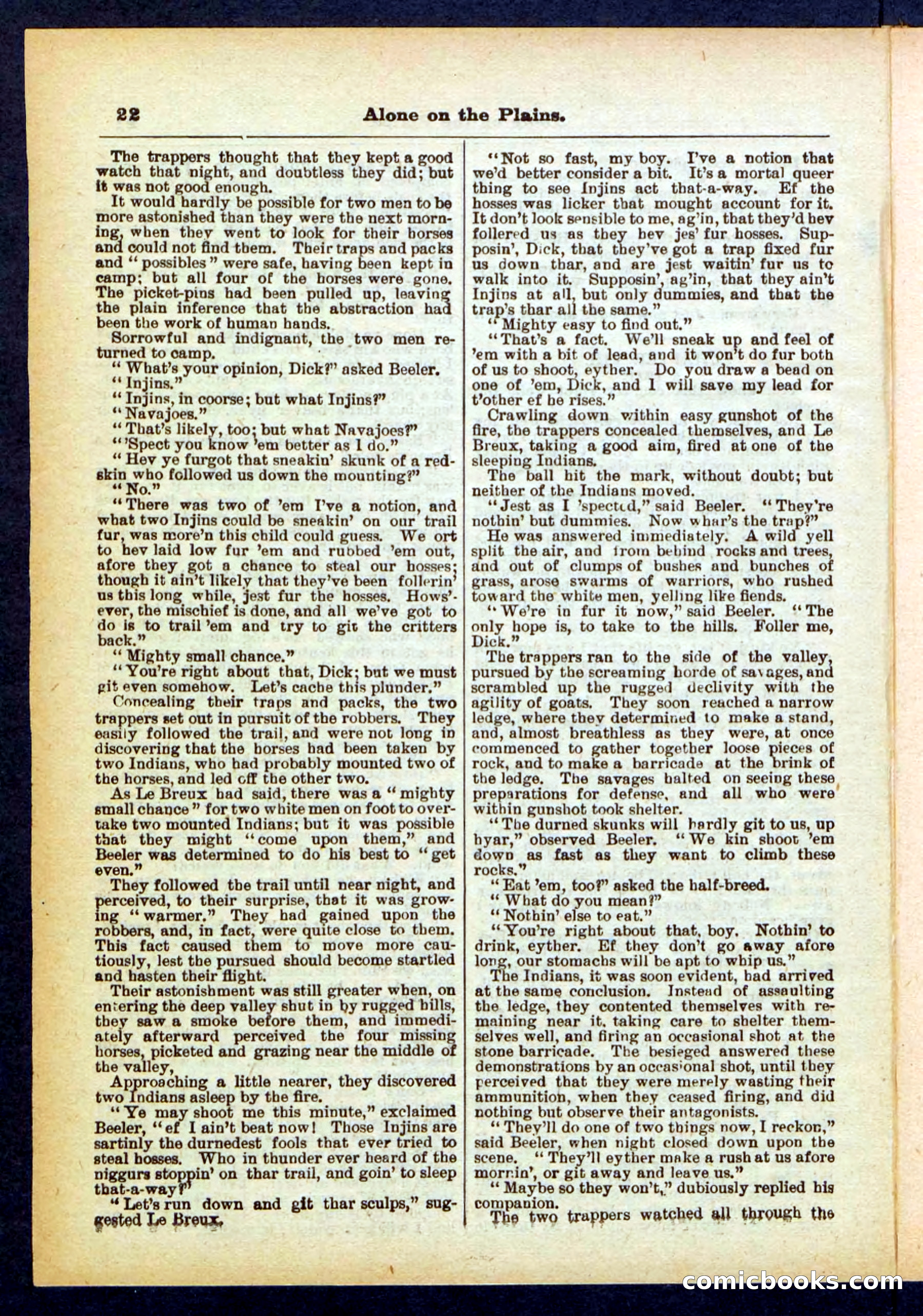 Beadle's Pocket Library No. 429 — page 22 of 32