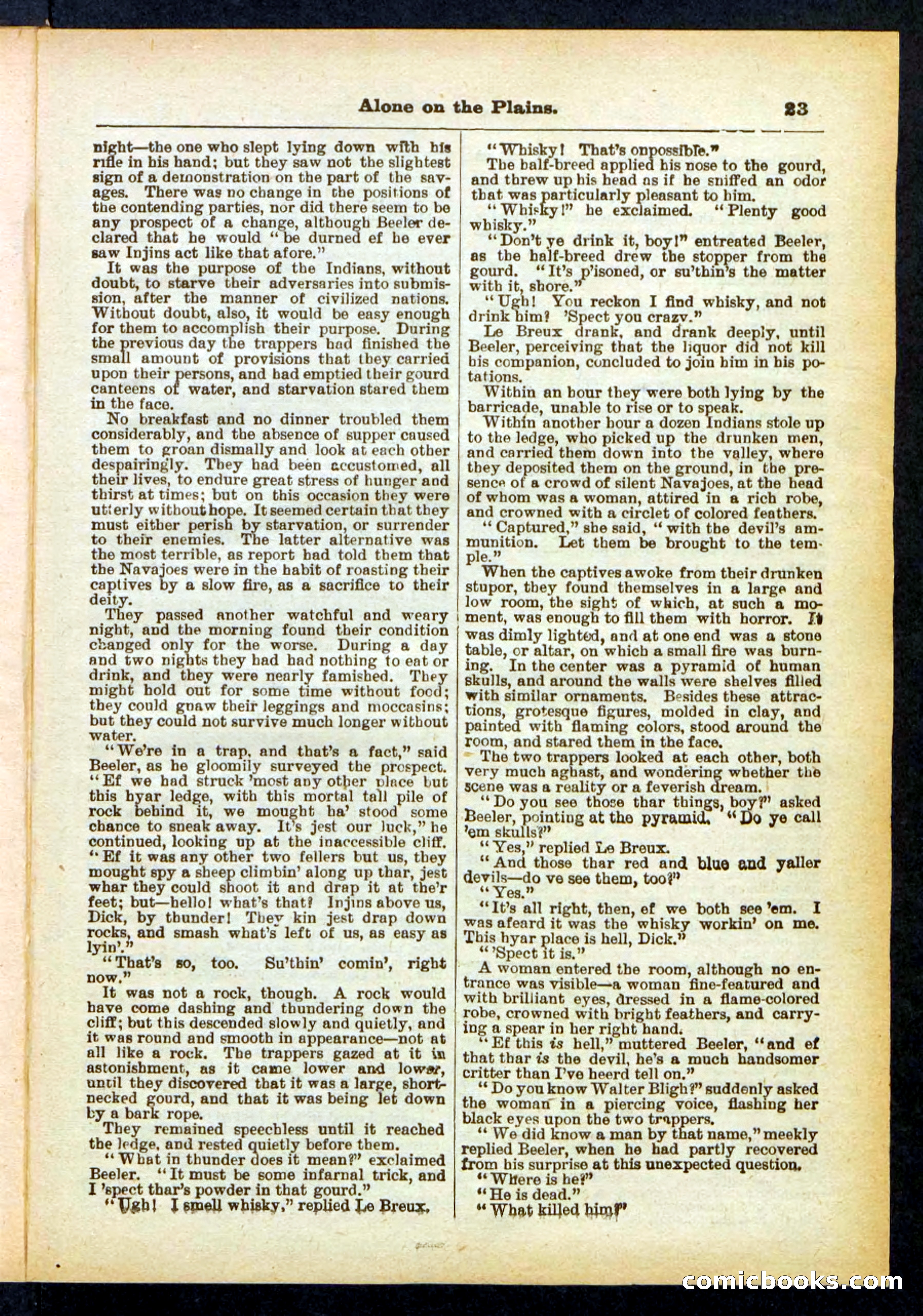 Beadle's Pocket Library No. 429 — page 23 of 32