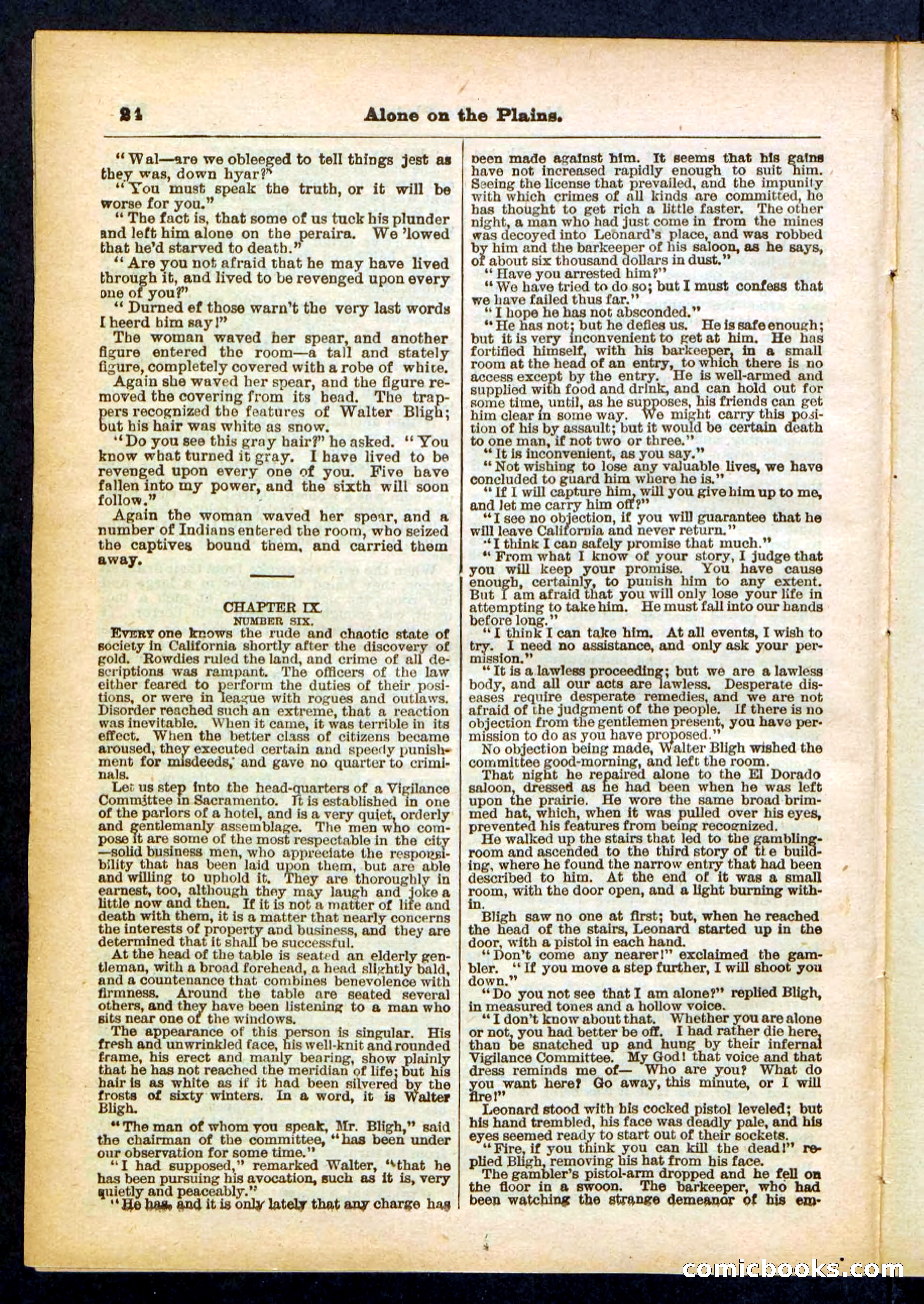 Beadle's Pocket Library No. 429 — page 24 of 32