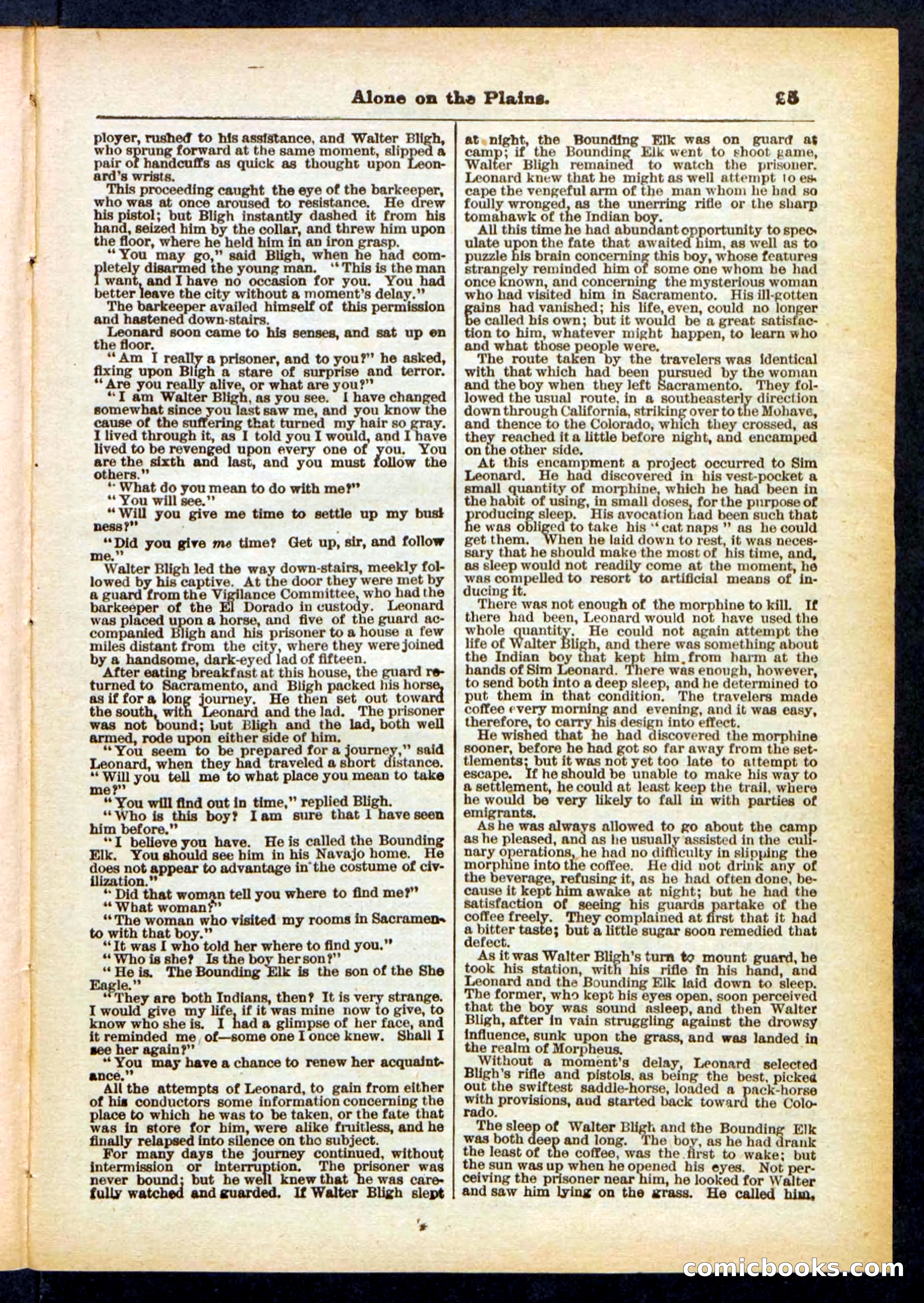 Beadle's Pocket Library No. 429 — page 25 of 32