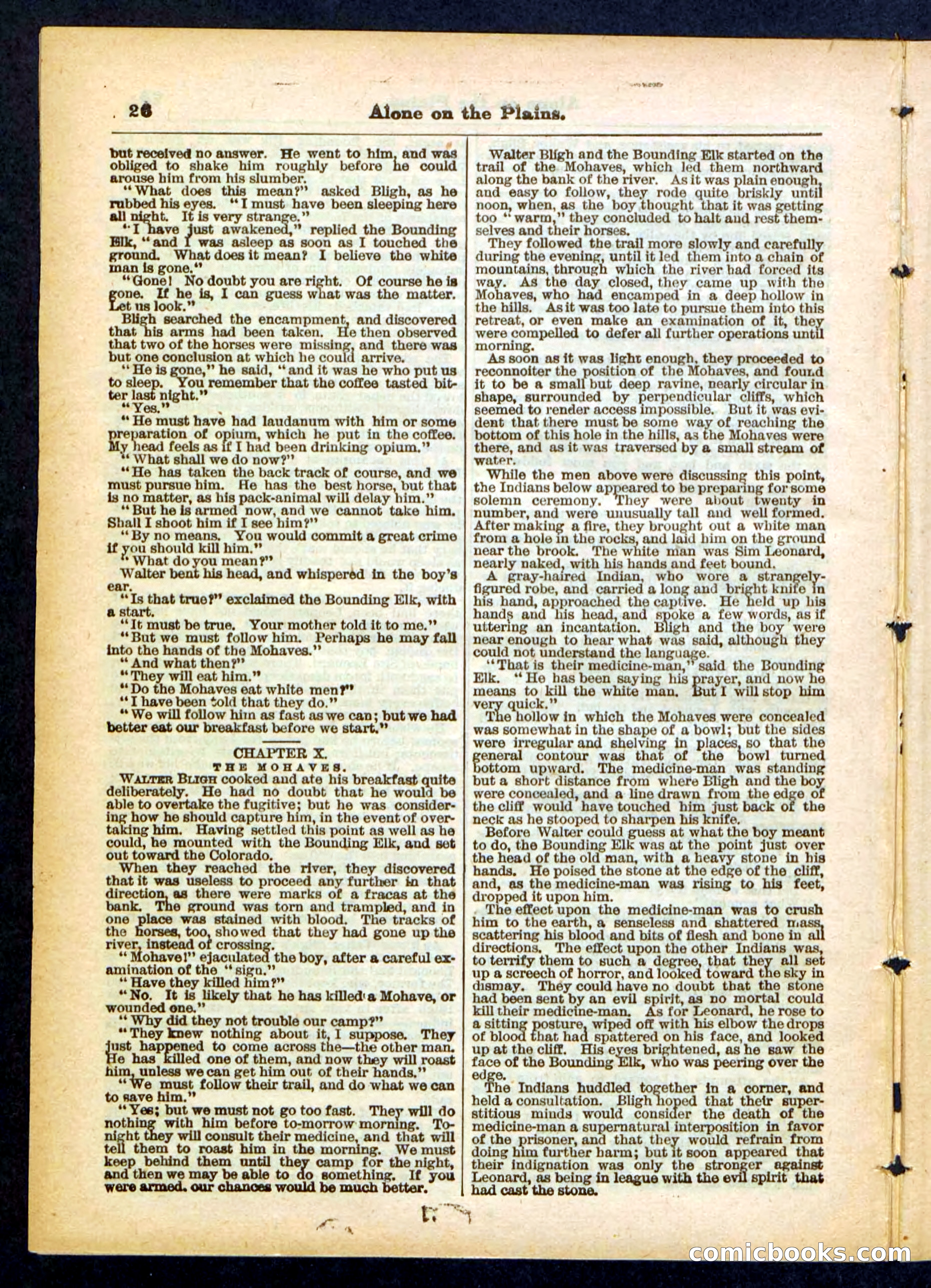 Beadle's Pocket Library No. 429 — page 26 of 32