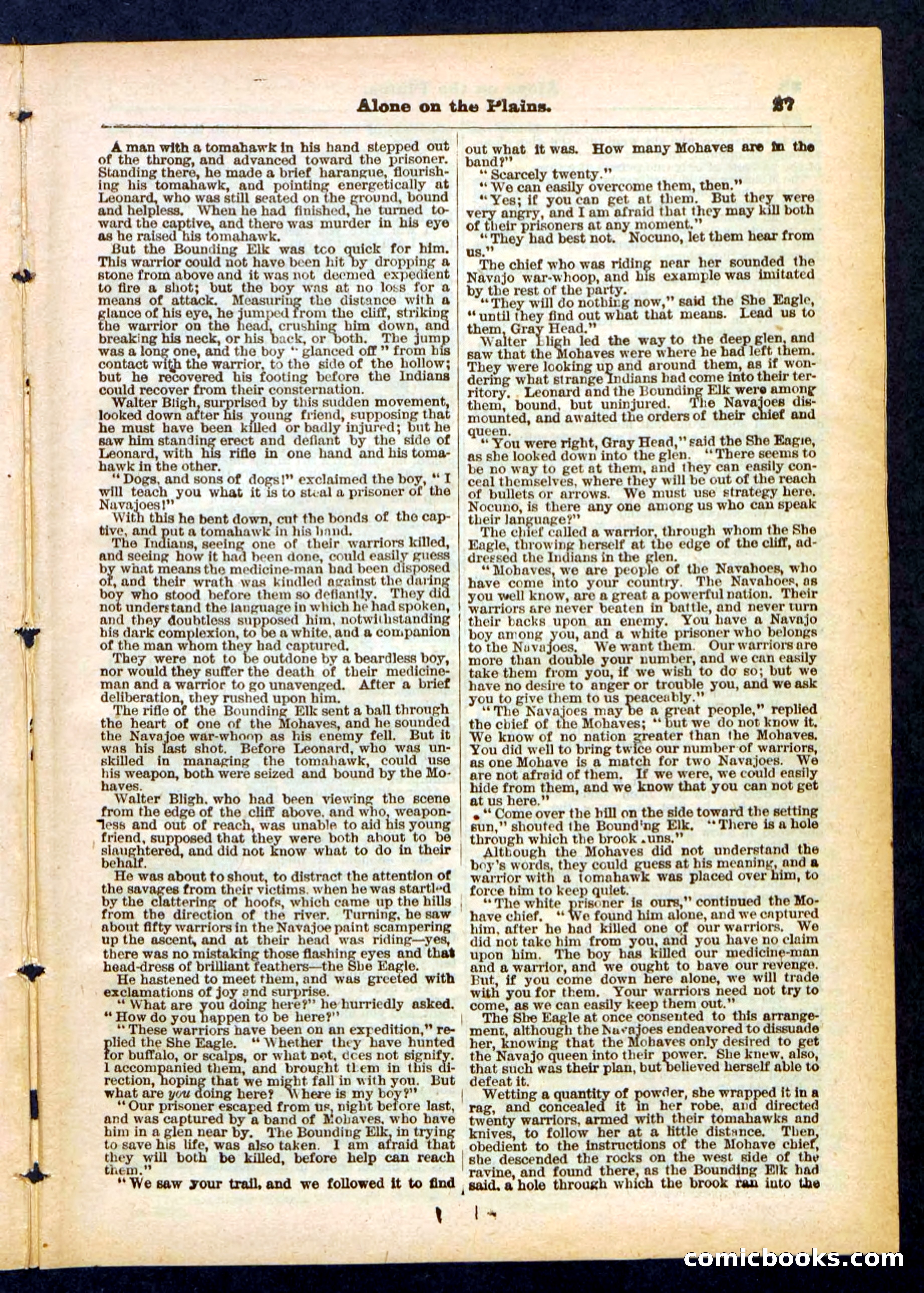 Beadle's Pocket Library No. 429 — page 27 of 32