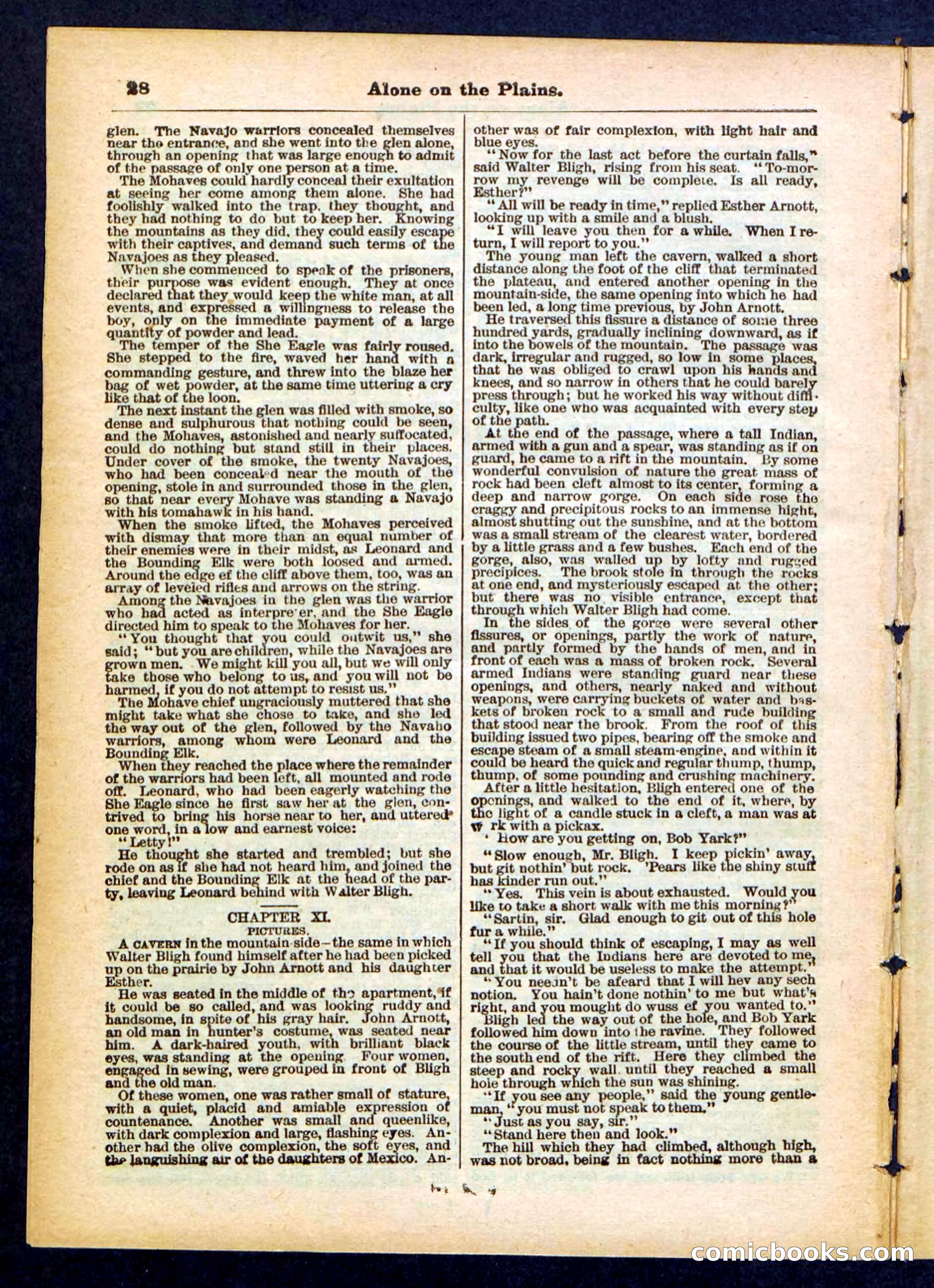 Beadle's Pocket Library No. 429 — page 28 of 32