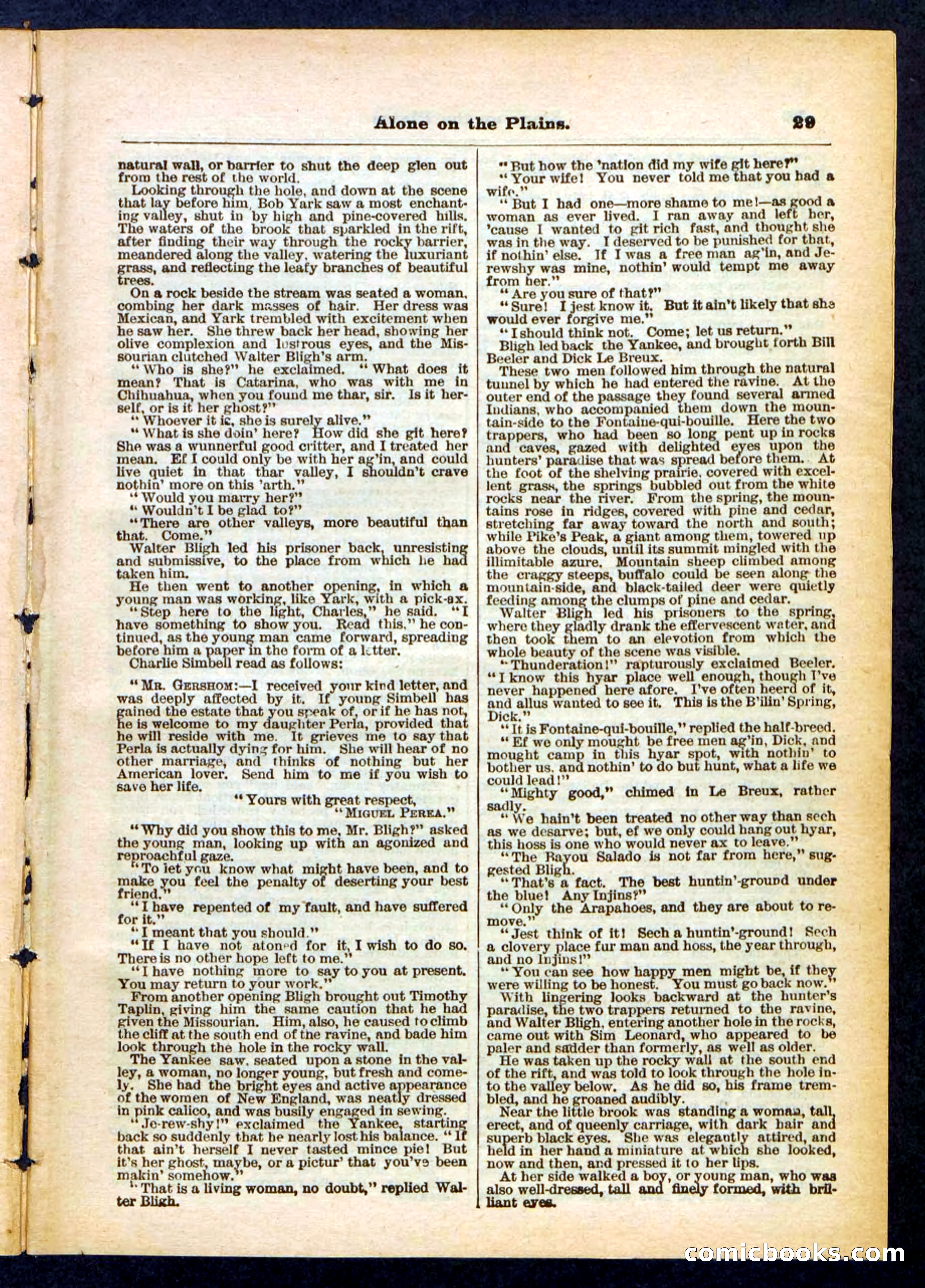Beadle's Pocket Library No. 429 — page 29 of 32
