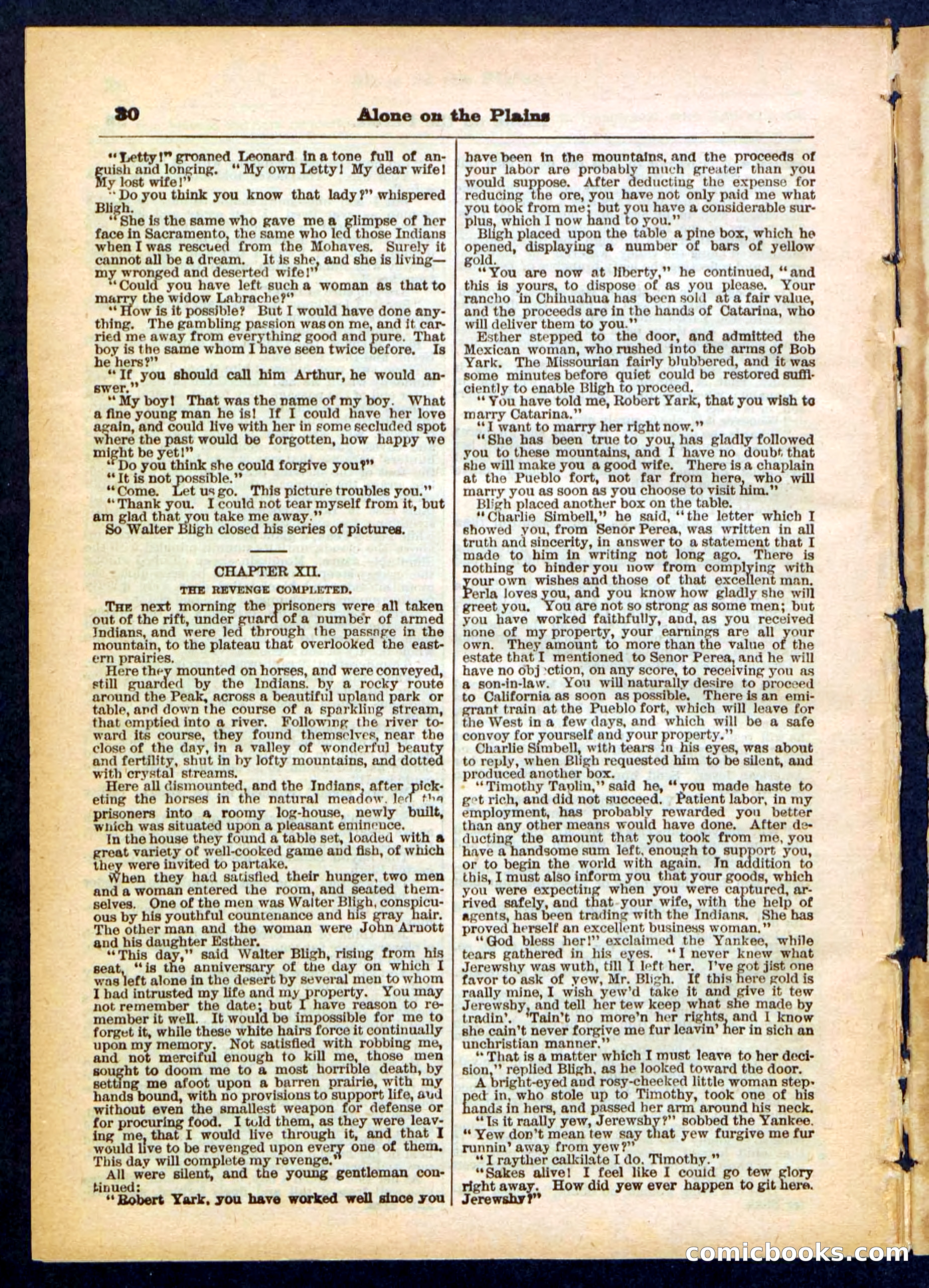 Beadle's Pocket Library No. 429 — page 30 of 32