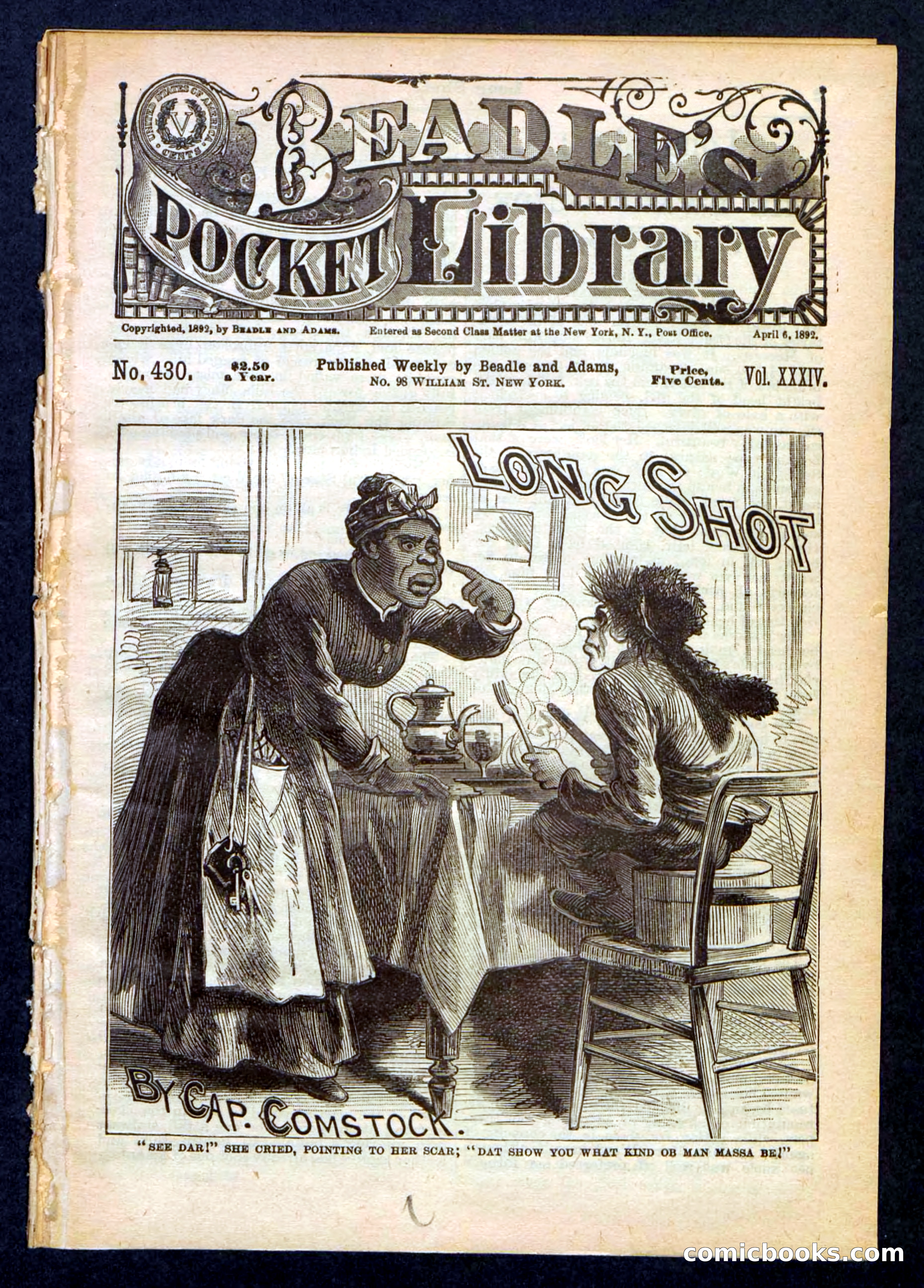 Beadle's Pocket Library No. 430 — page 1 of 32
