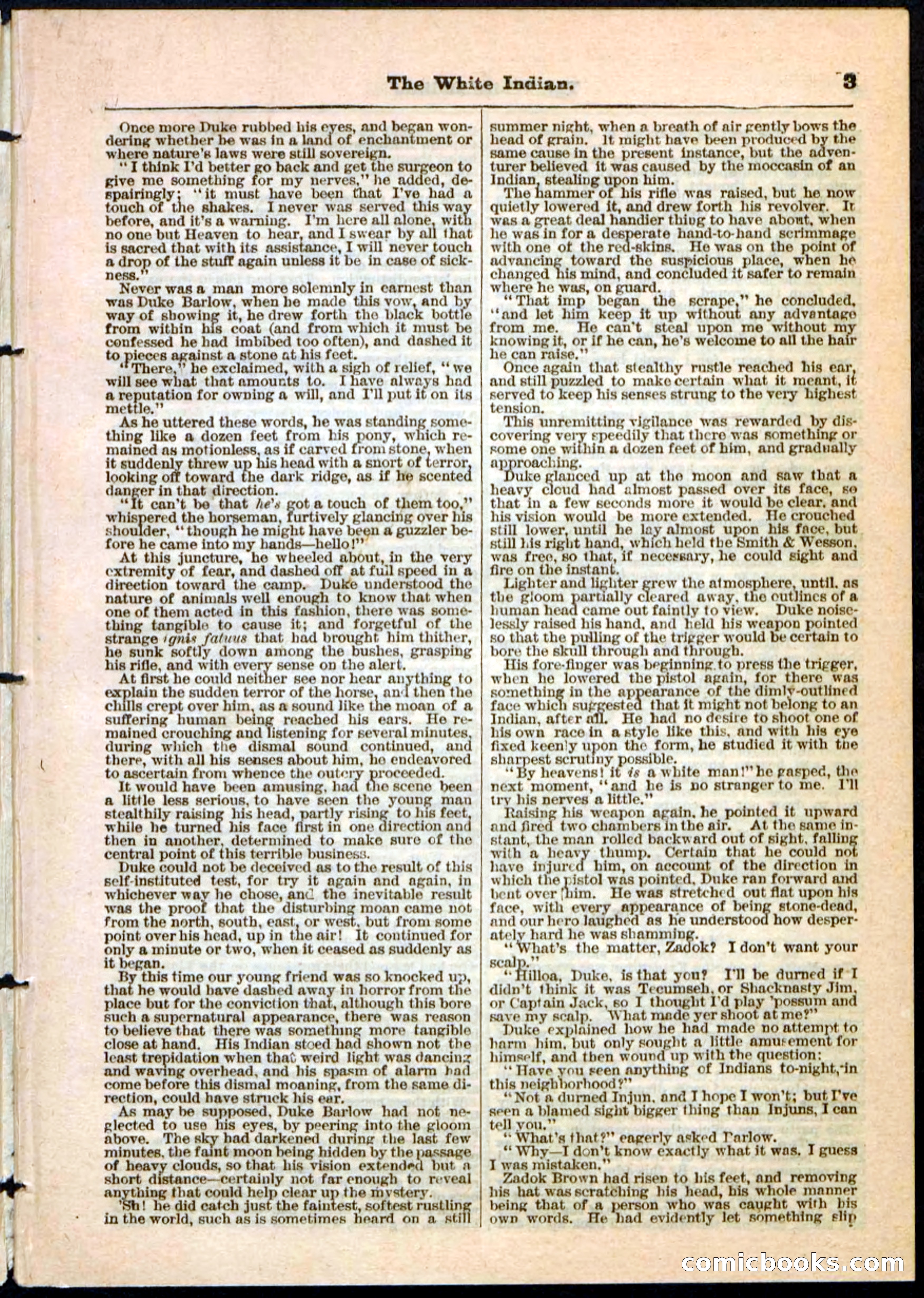 Beadle's Pocket Library No. 44 — page 3 of 32