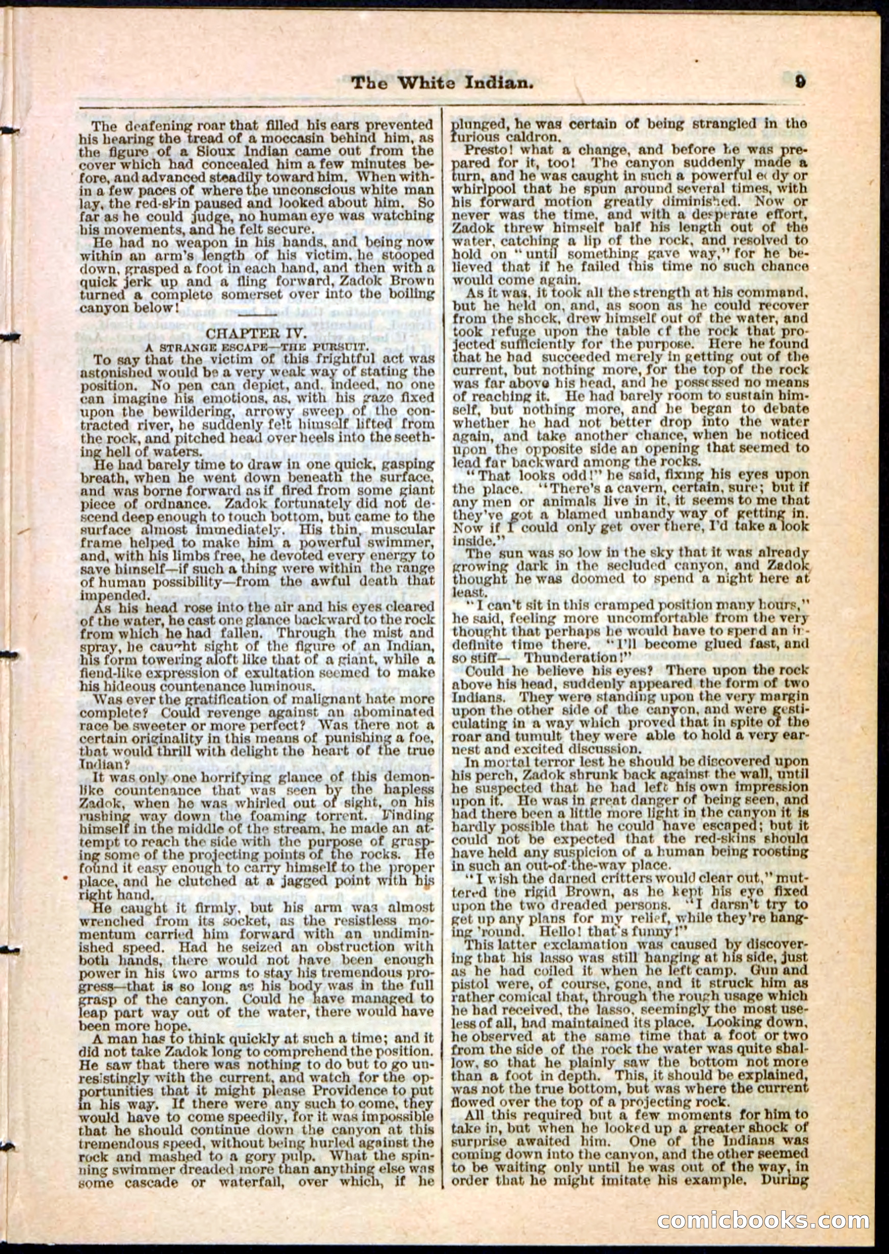 Beadle's Pocket Library No. 44 — page 9 of 32