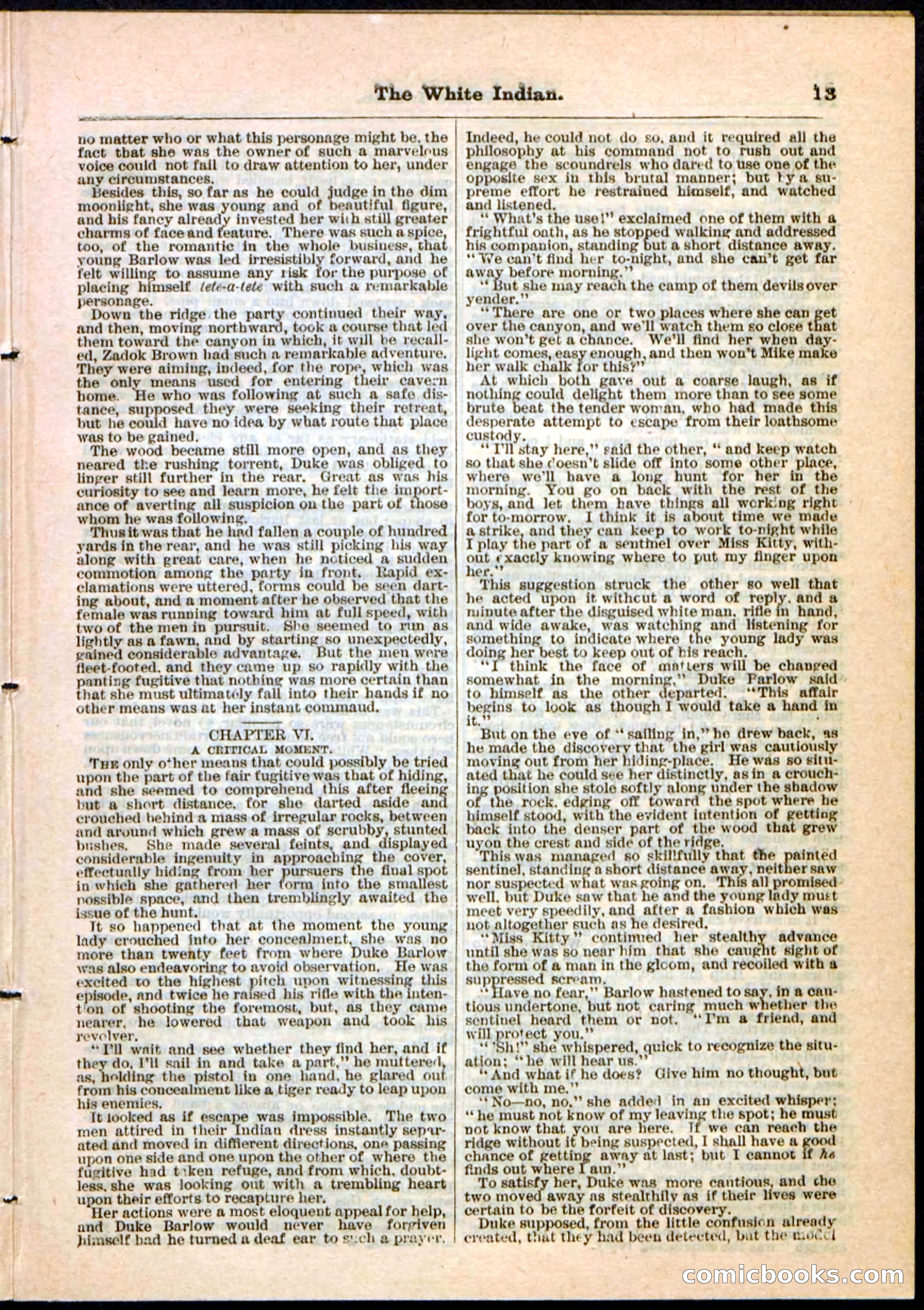 Beadle's Pocket Library No. 44 — page 13 of 32