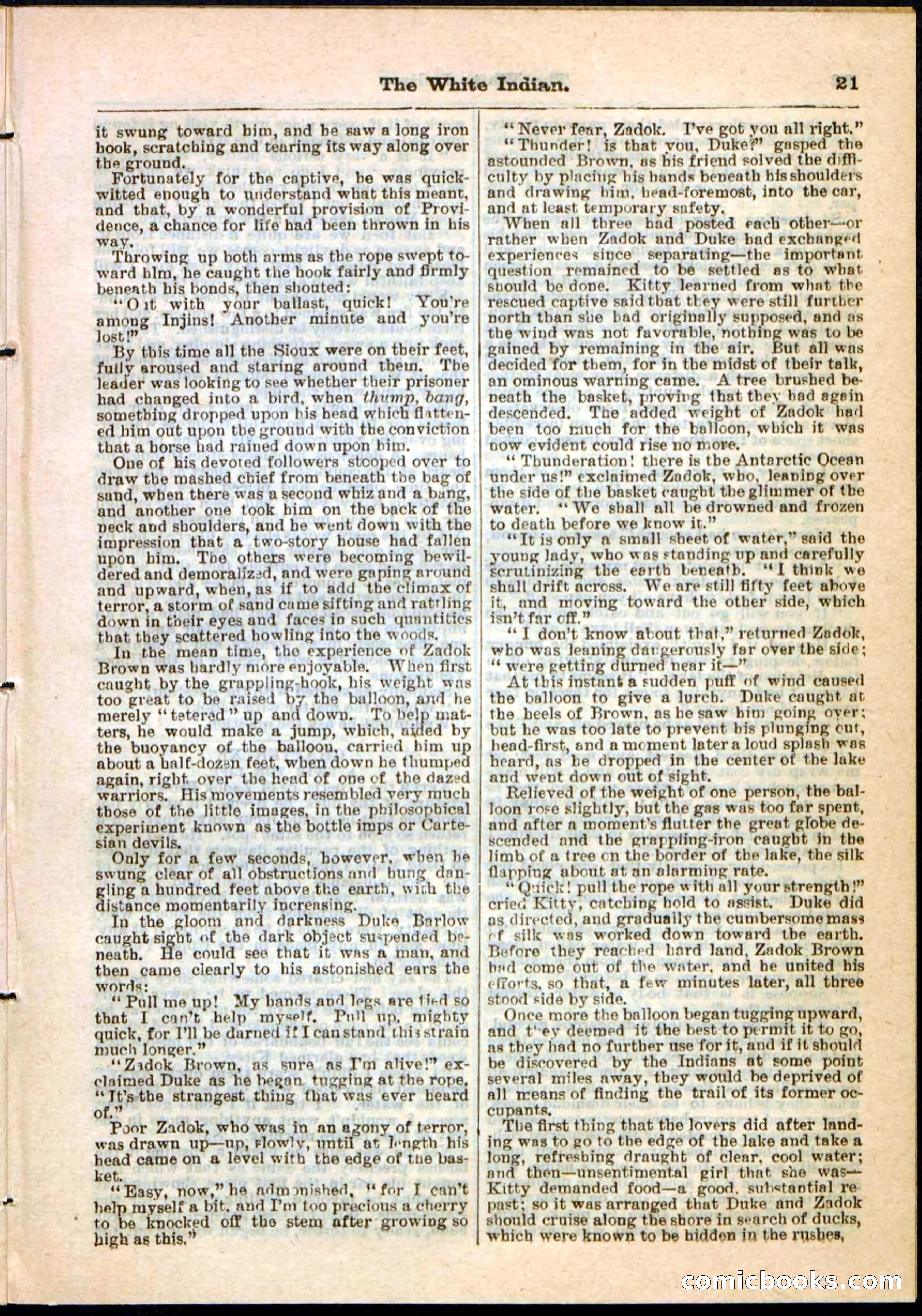 Beadle's Pocket Library No. 44 — page 21 of 32