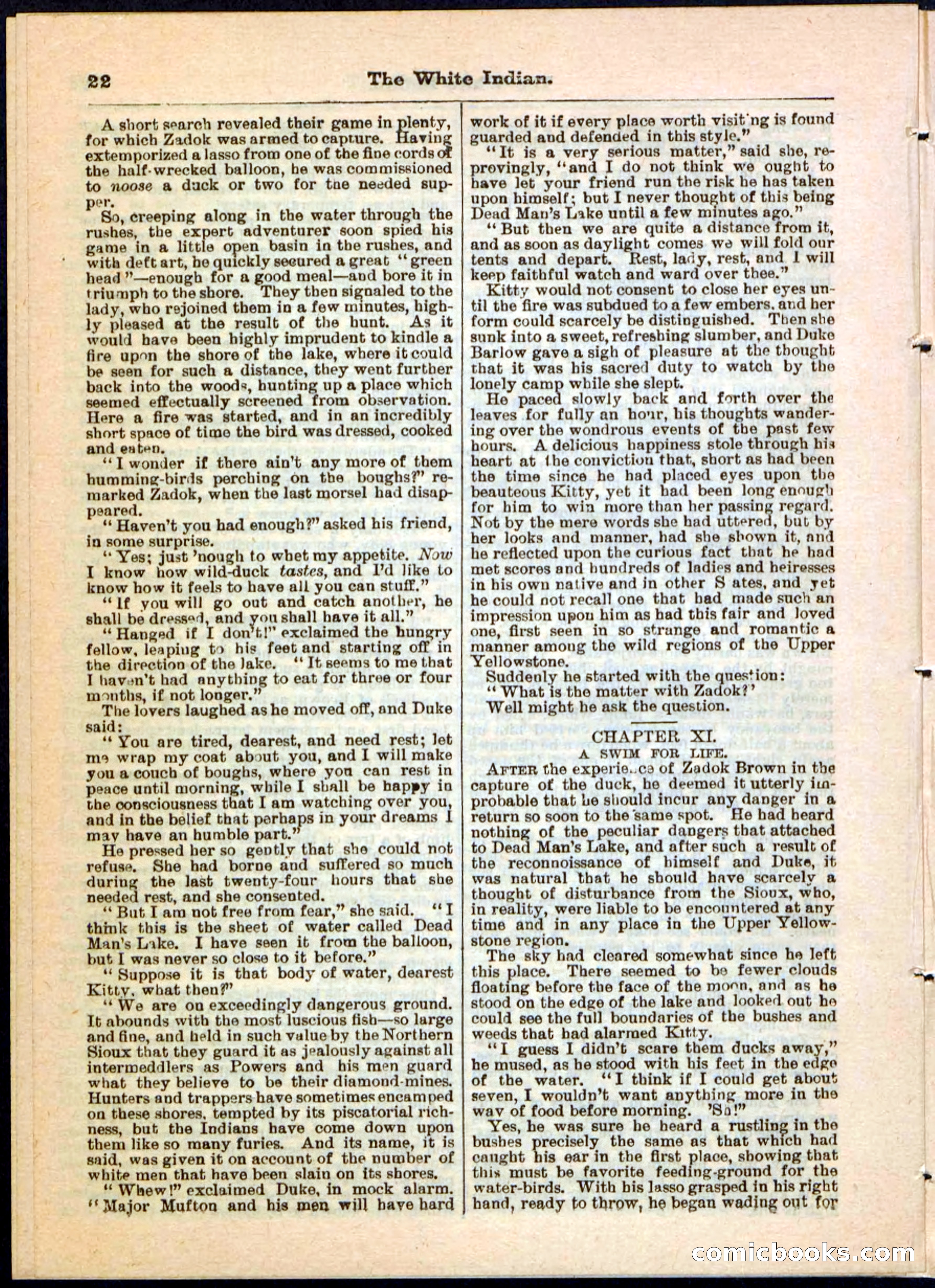 Beadle's Pocket Library No. 44 — page 22 of 32