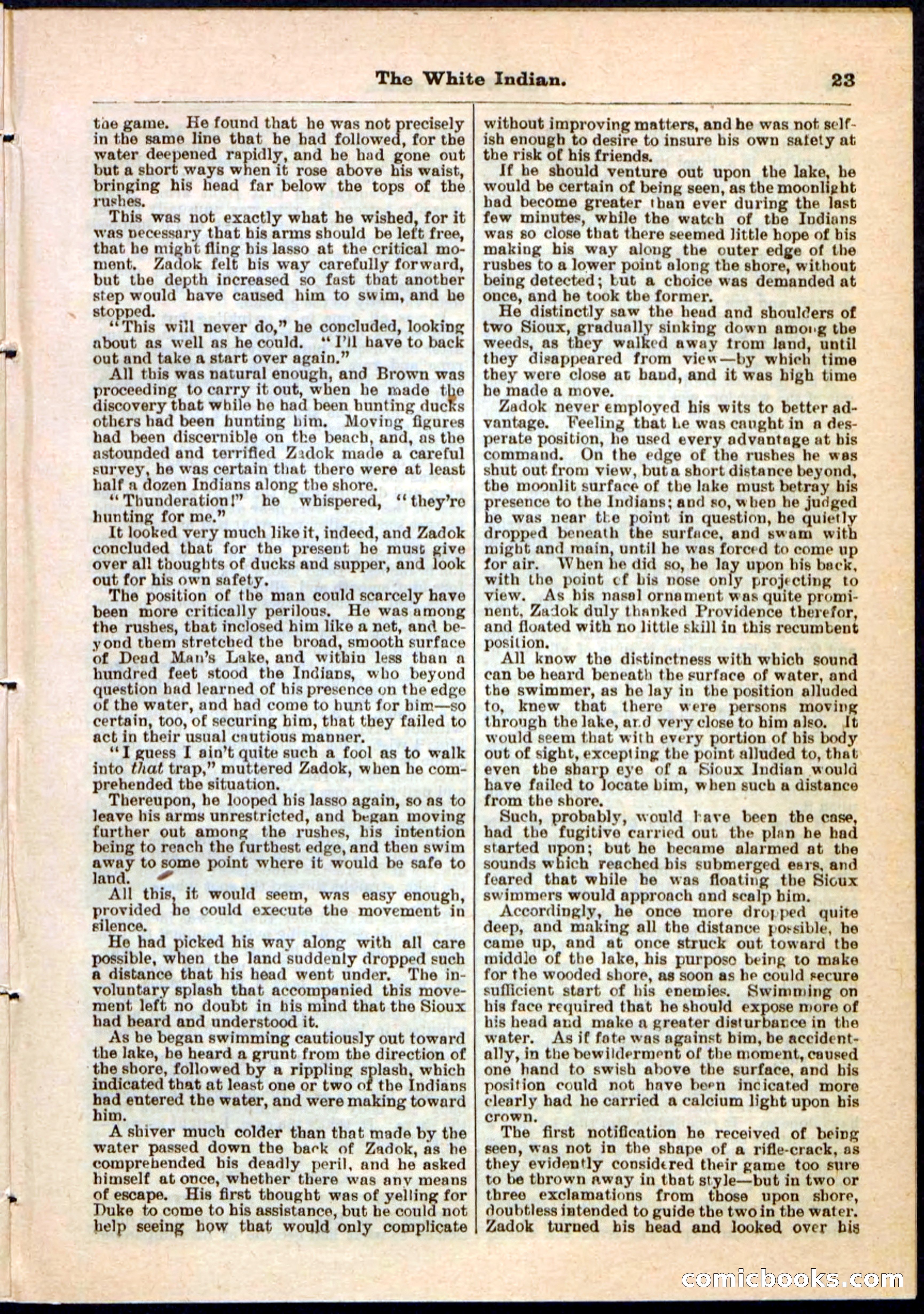 Beadle's Pocket Library No. 44 — page 23 of 32