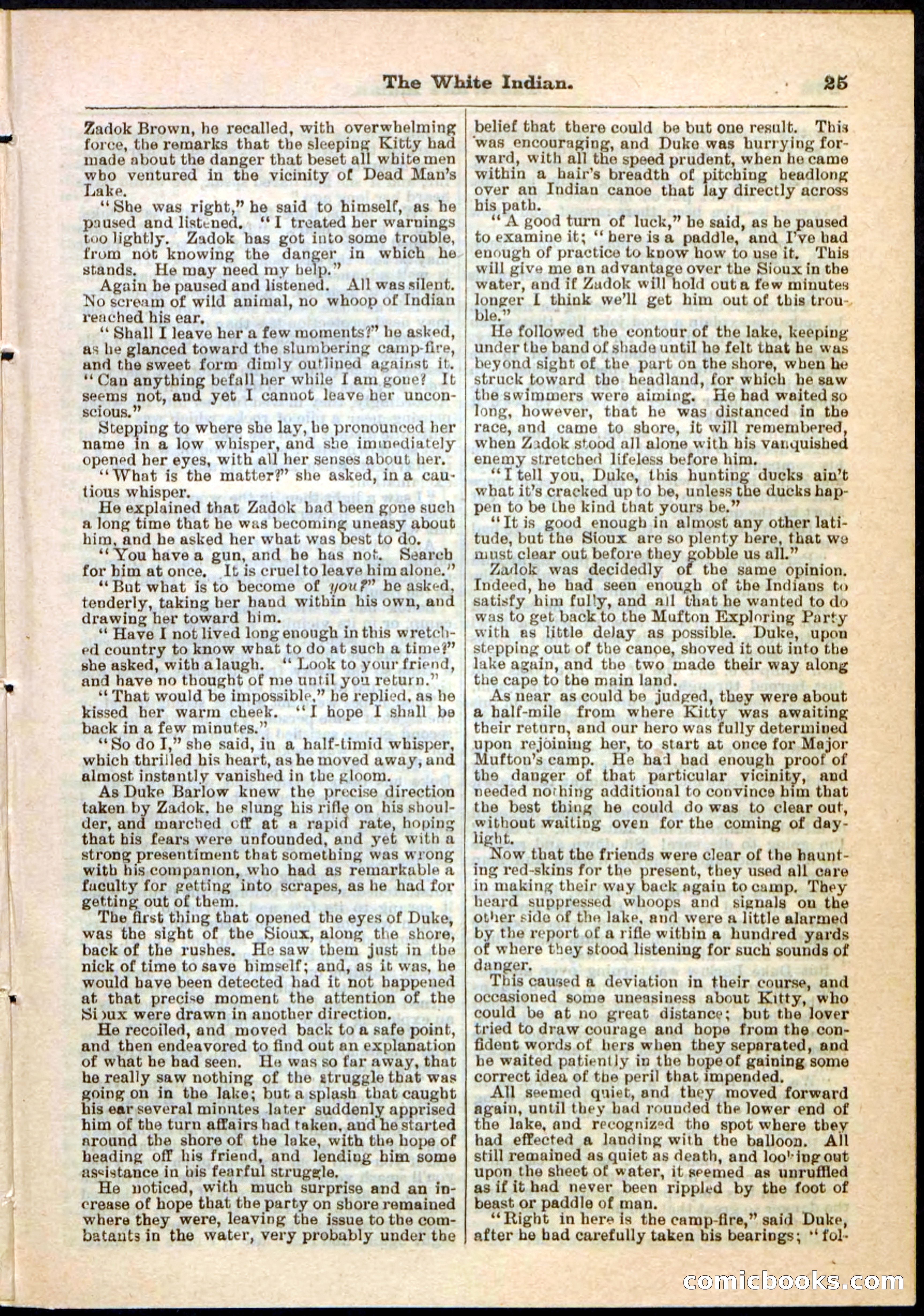 Beadle's Pocket Library No. 44 — page 25 of 32