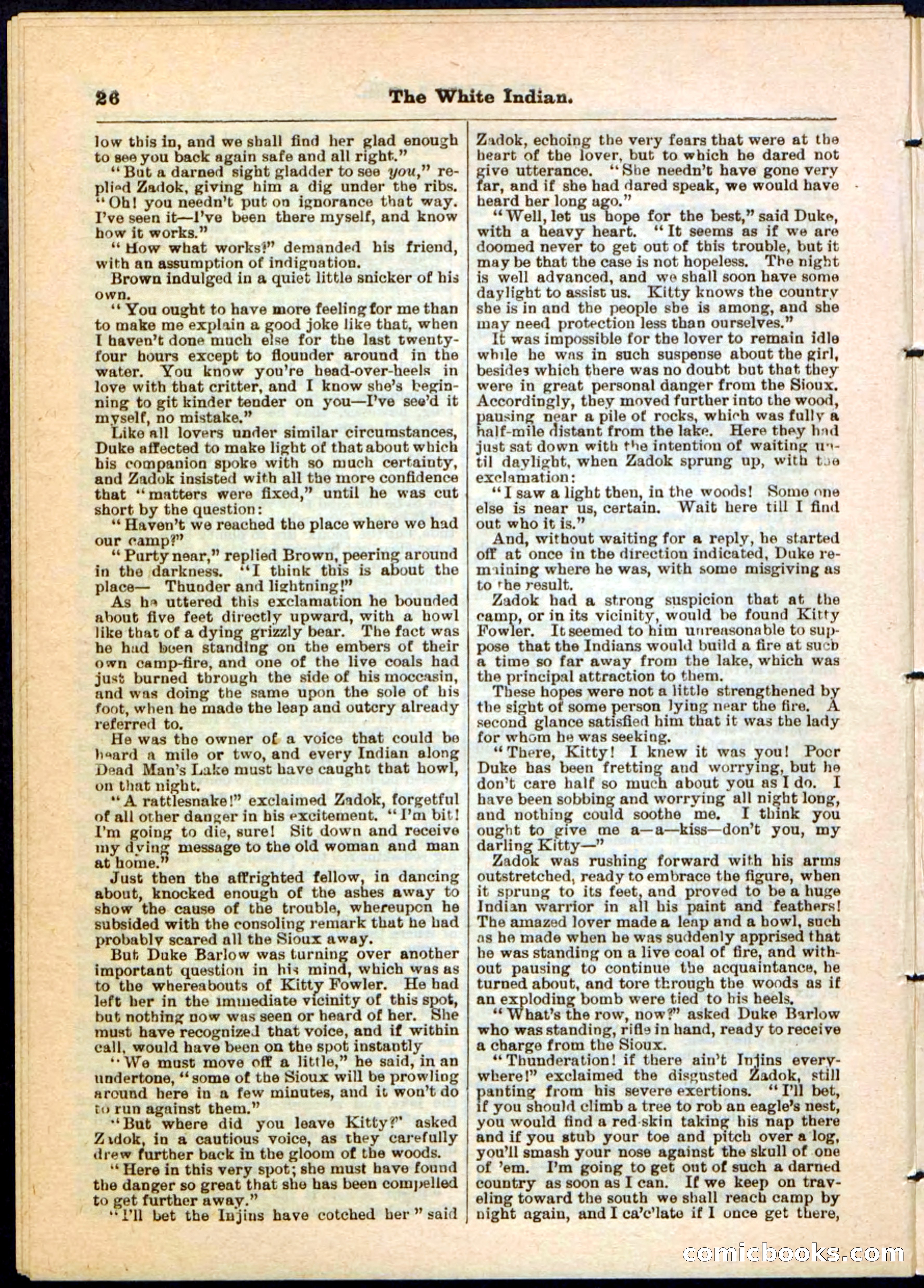 Beadle's Pocket Library No. 44 — page 26 of 32