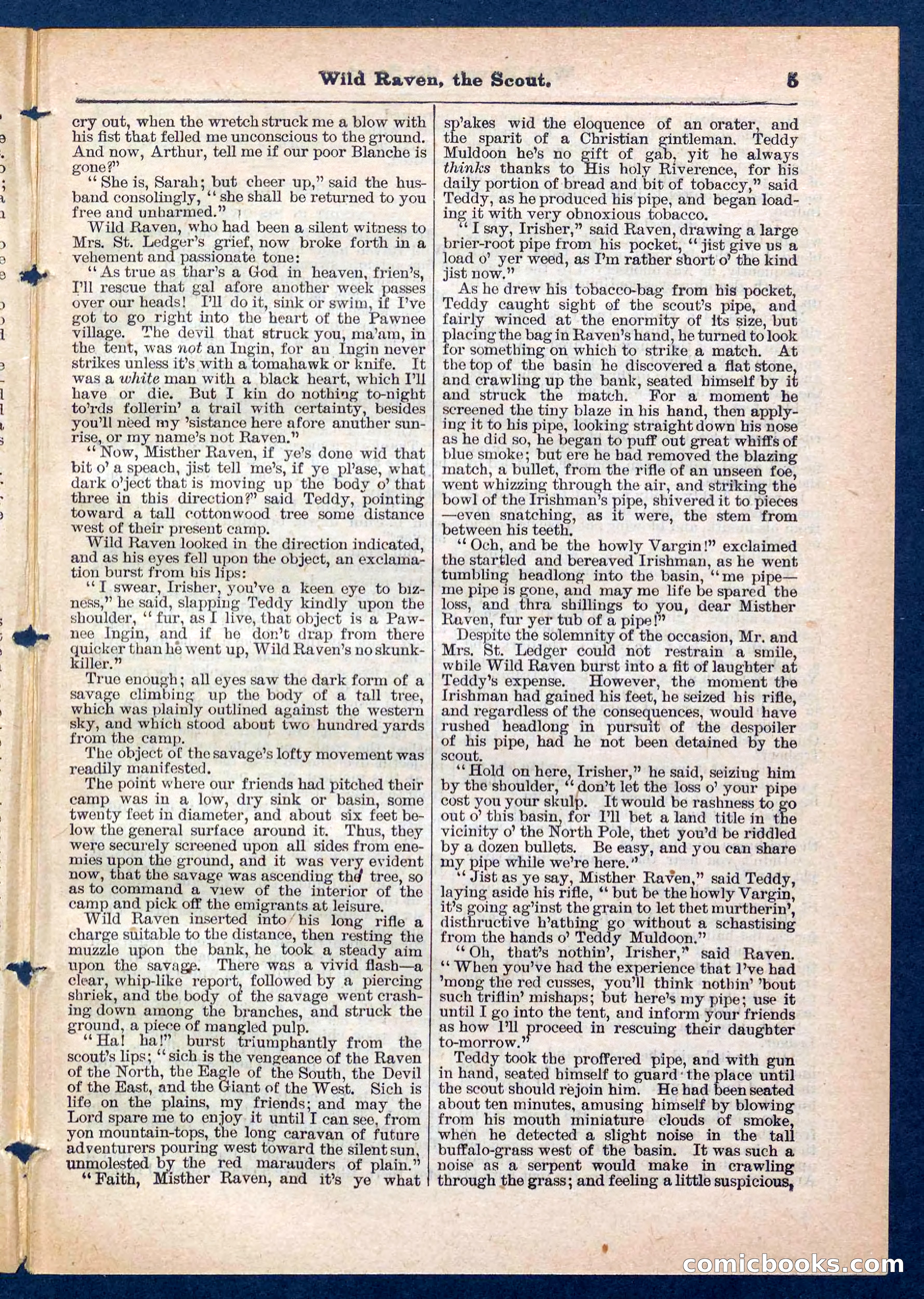 Beadle's Pocket Library No. 448: Wild Raven the Scout — page 5 of 32