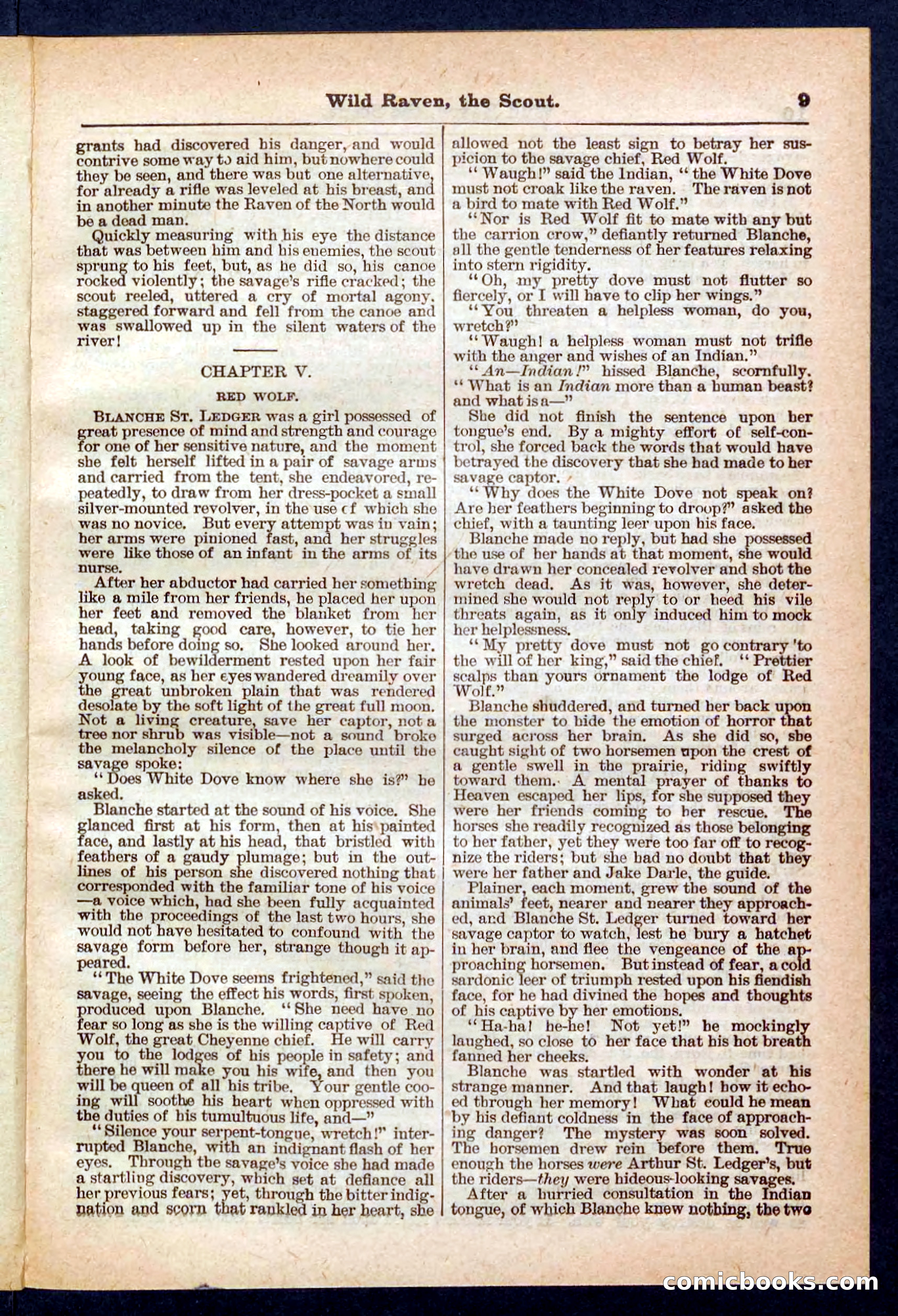 Beadle's Pocket Library No. 448: Wild Raven the Scout — page 9 of 32