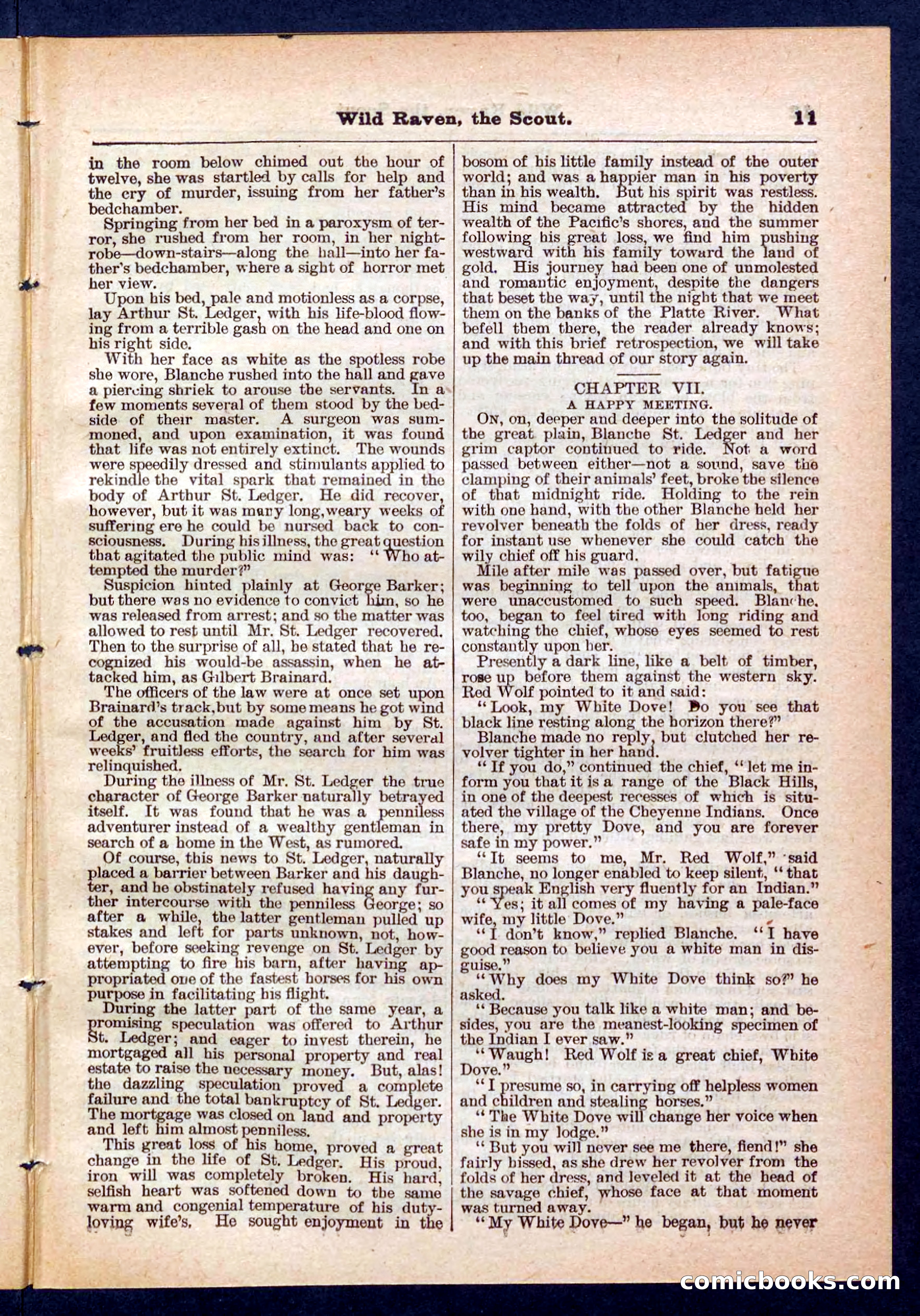 Beadle's Pocket Library No. 448: Wild Raven the Scout — page 11 of 32