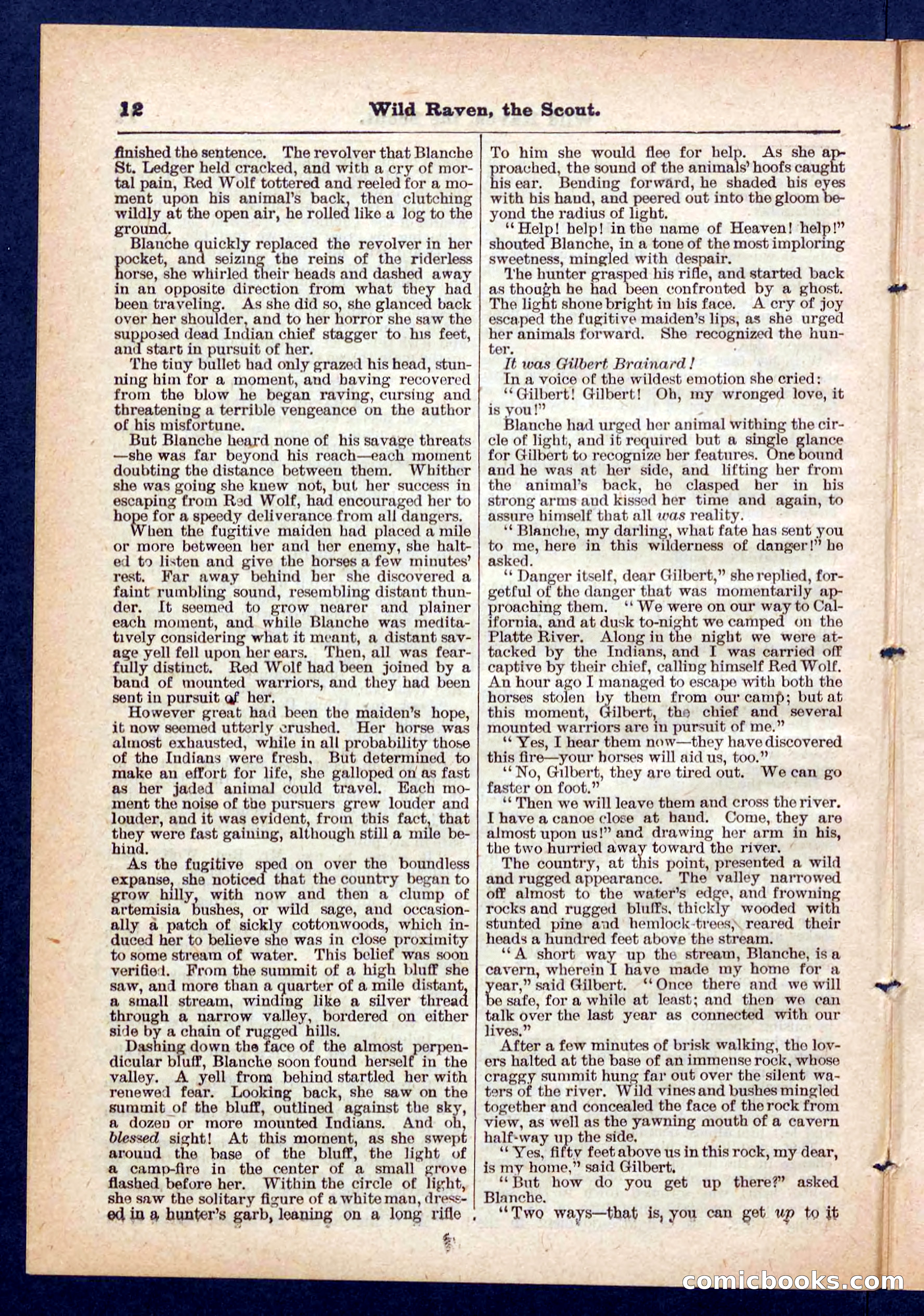 Beadle's Pocket Library No. 448: Wild Raven the Scout — page 12 of 32