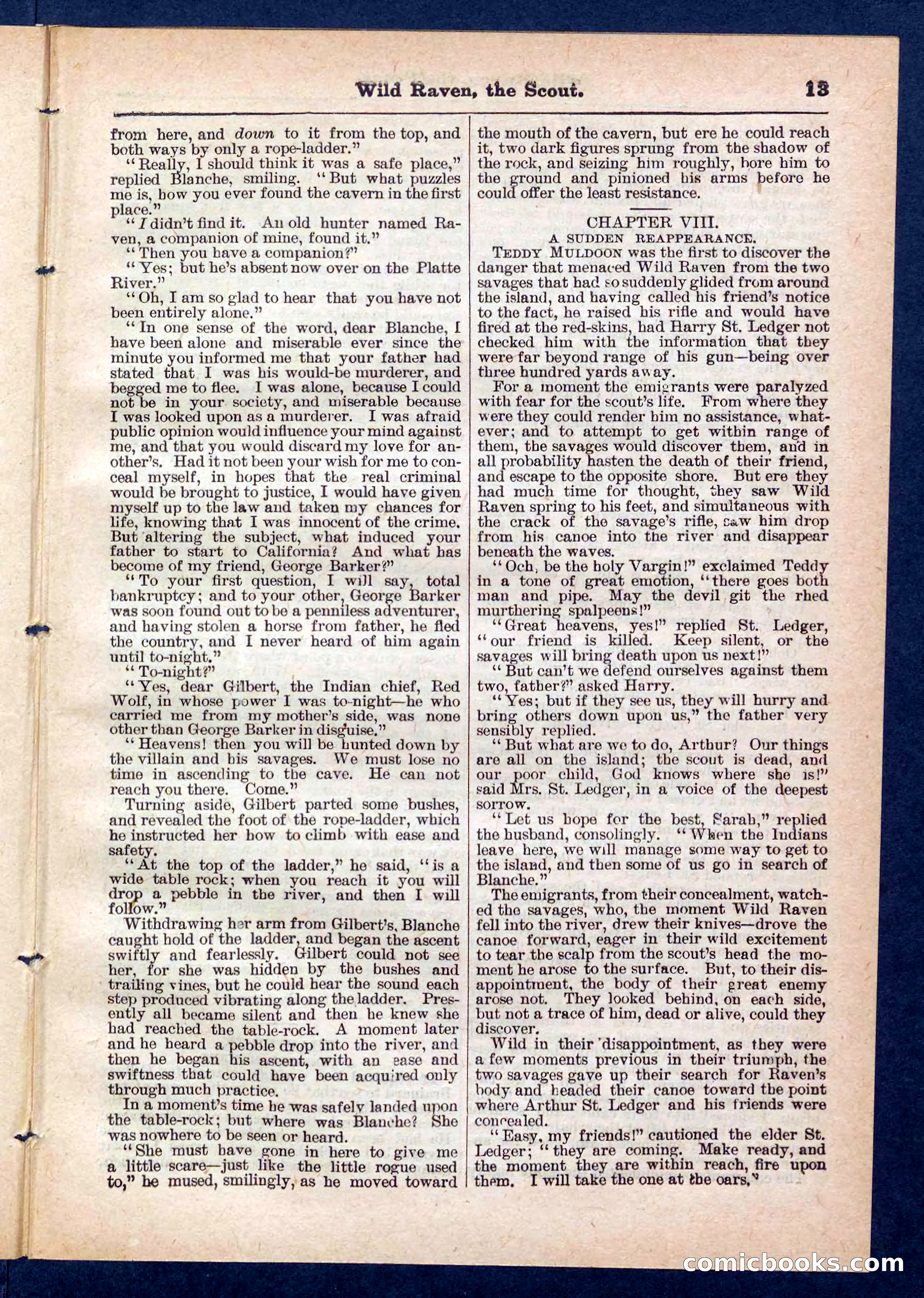 Beadle's Pocket Library No. 448: Wild Raven the Scout — page 13 of 32