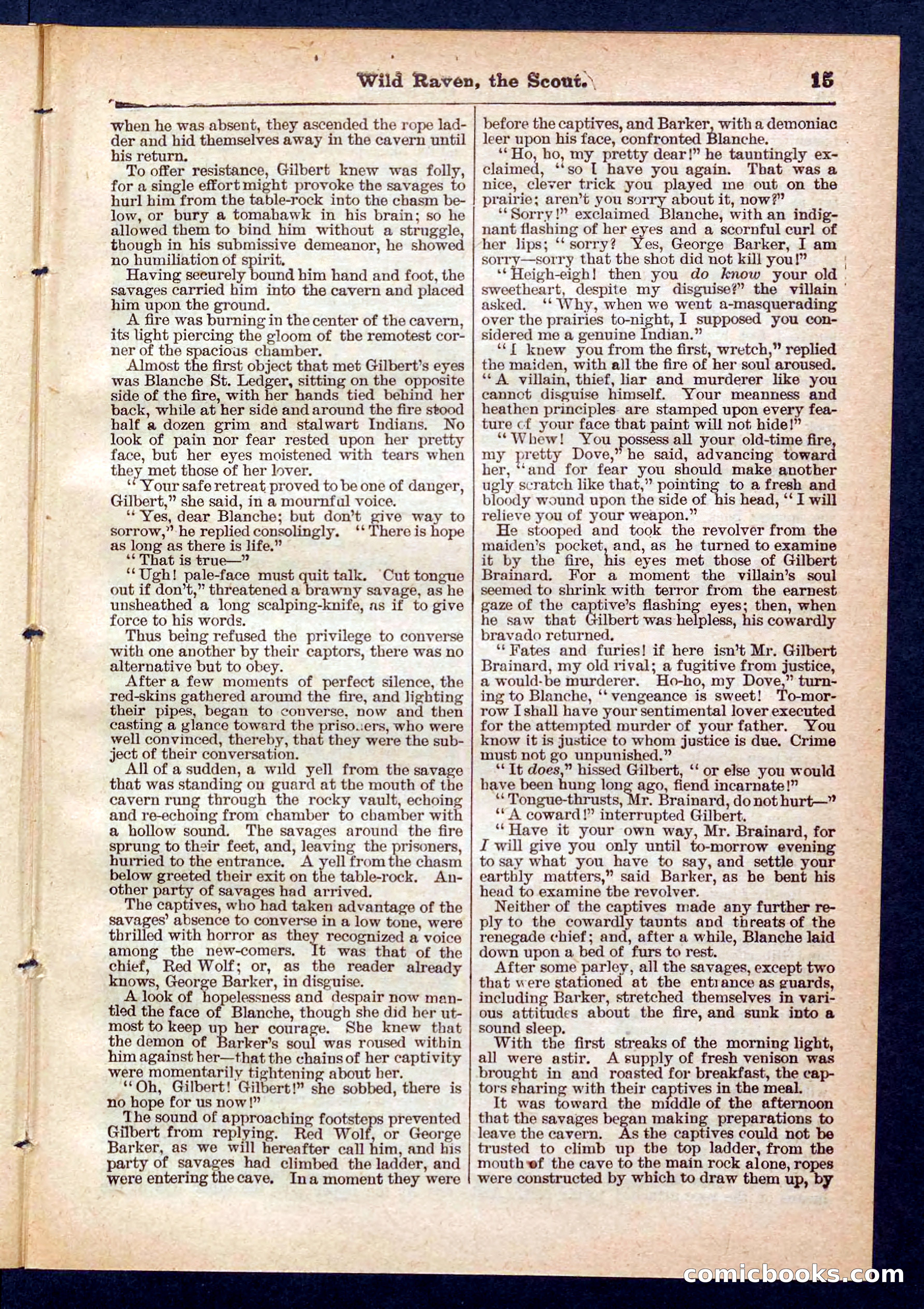 Beadle's Pocket Library No. 448: Wild Raven the Scout — page 15 of 32