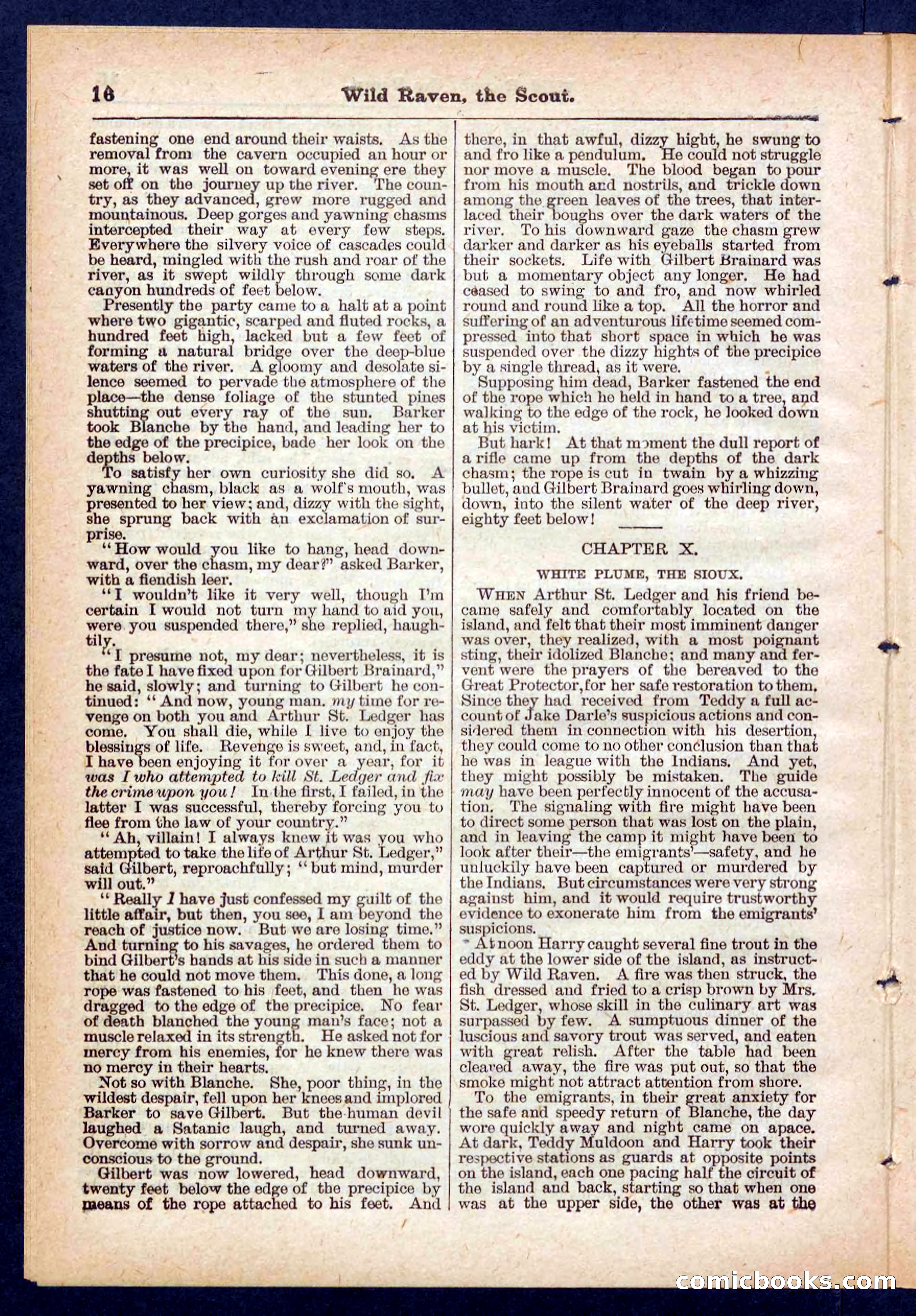 Beadle's Pocket Library No. 448: Wild Raven the Scout — page 16 of 32