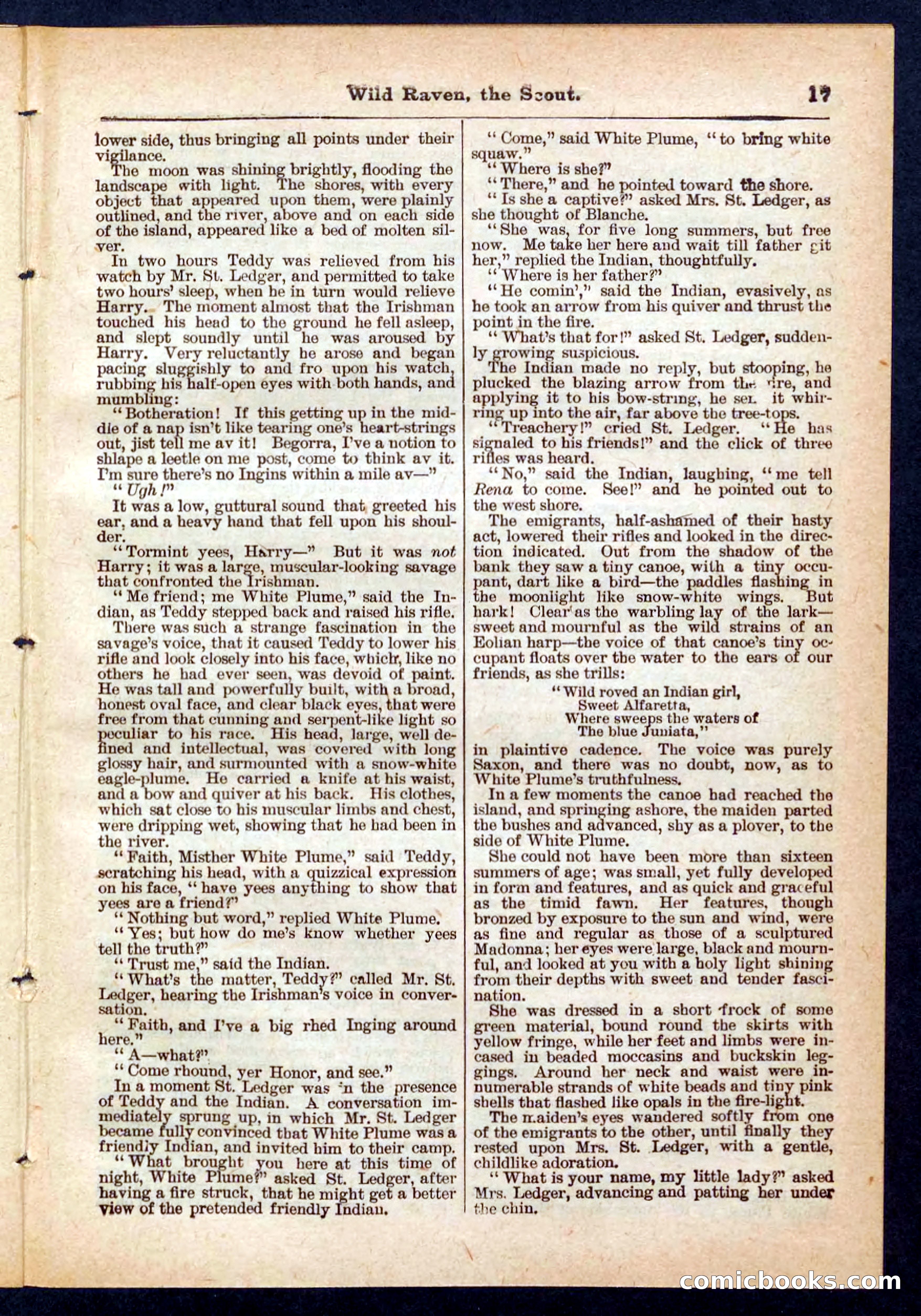 Beadle's Pocket Library No. 448: Wild Raven the Scout — page 17 of 32