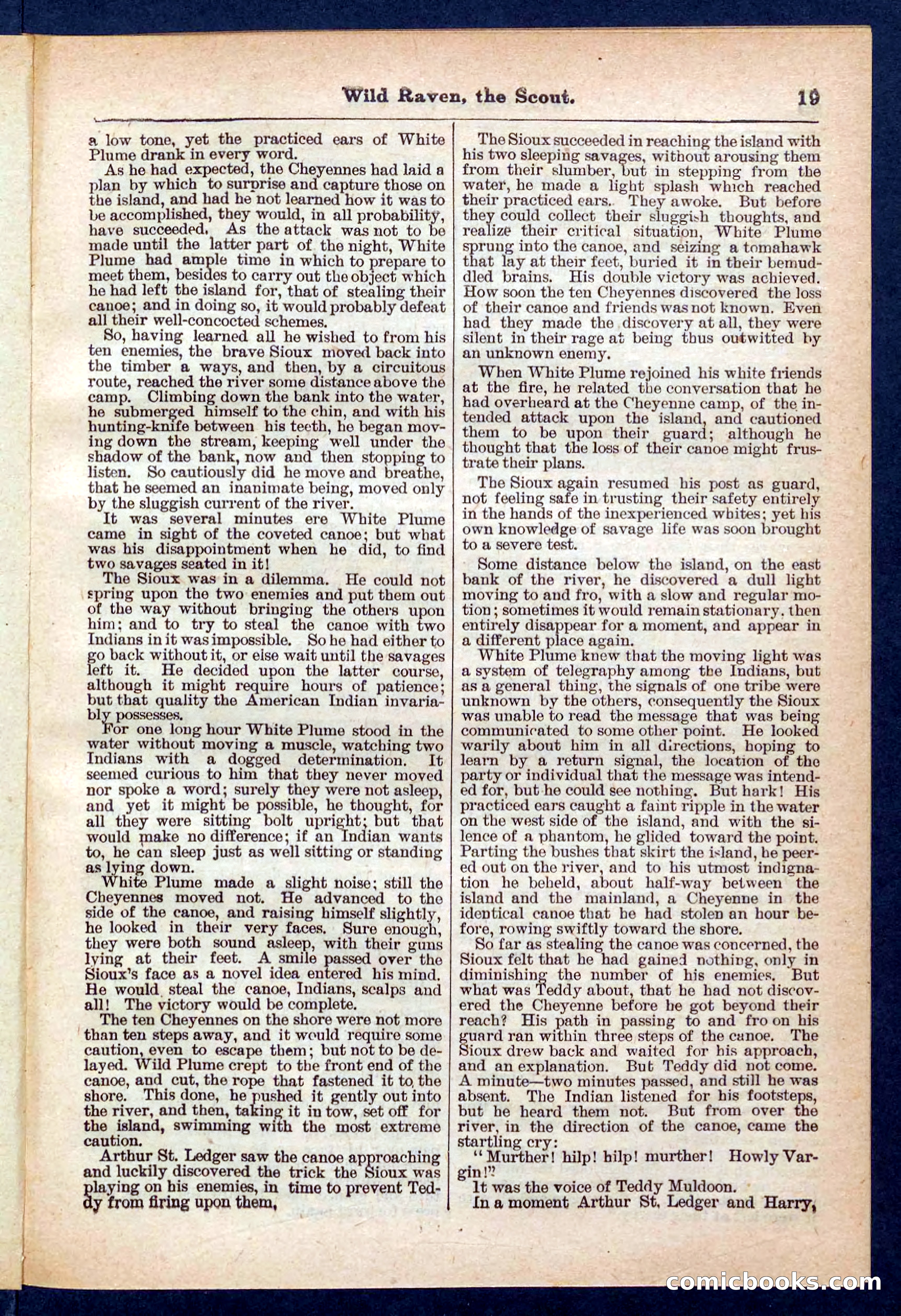 Beadle's Pocket Library No. 448: Wild Raven the Scout — page 19 of 32
