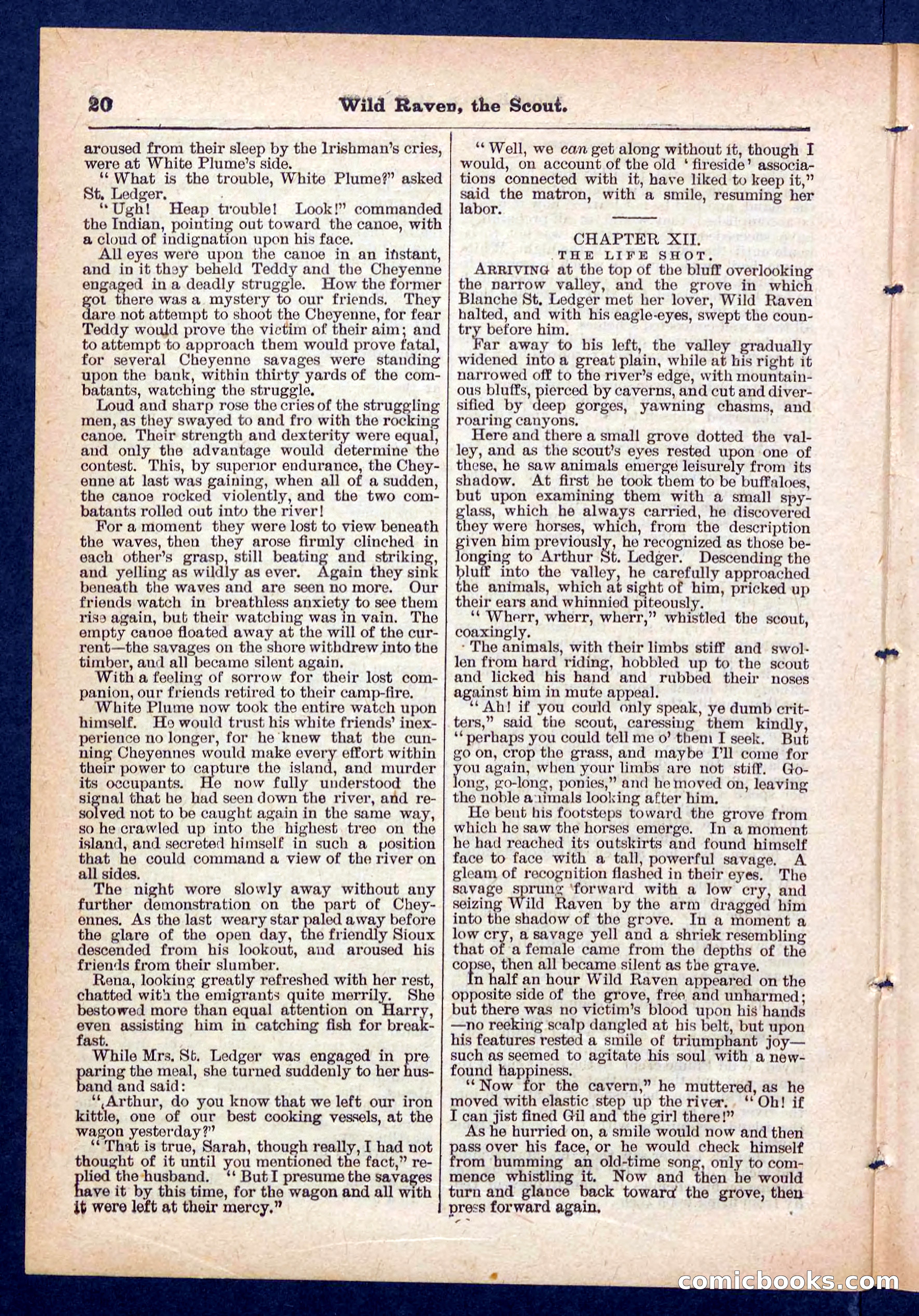 Beadle's Pocket Library No. 448: Wild Raven the Scout — page 20 of 32