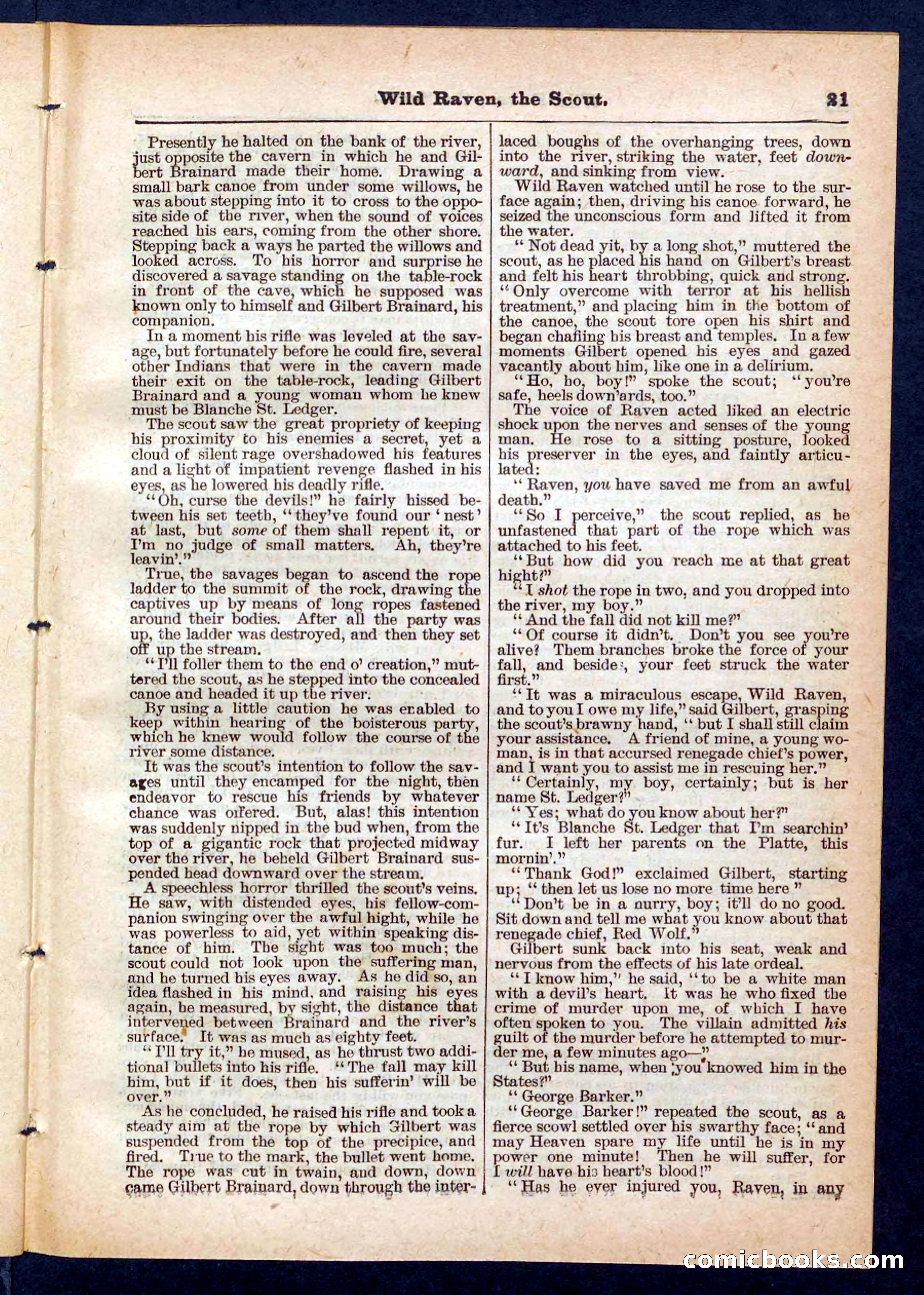 Beadle's Pocket Library No. 448: Wild Raven the Scout — page 21 of 32
