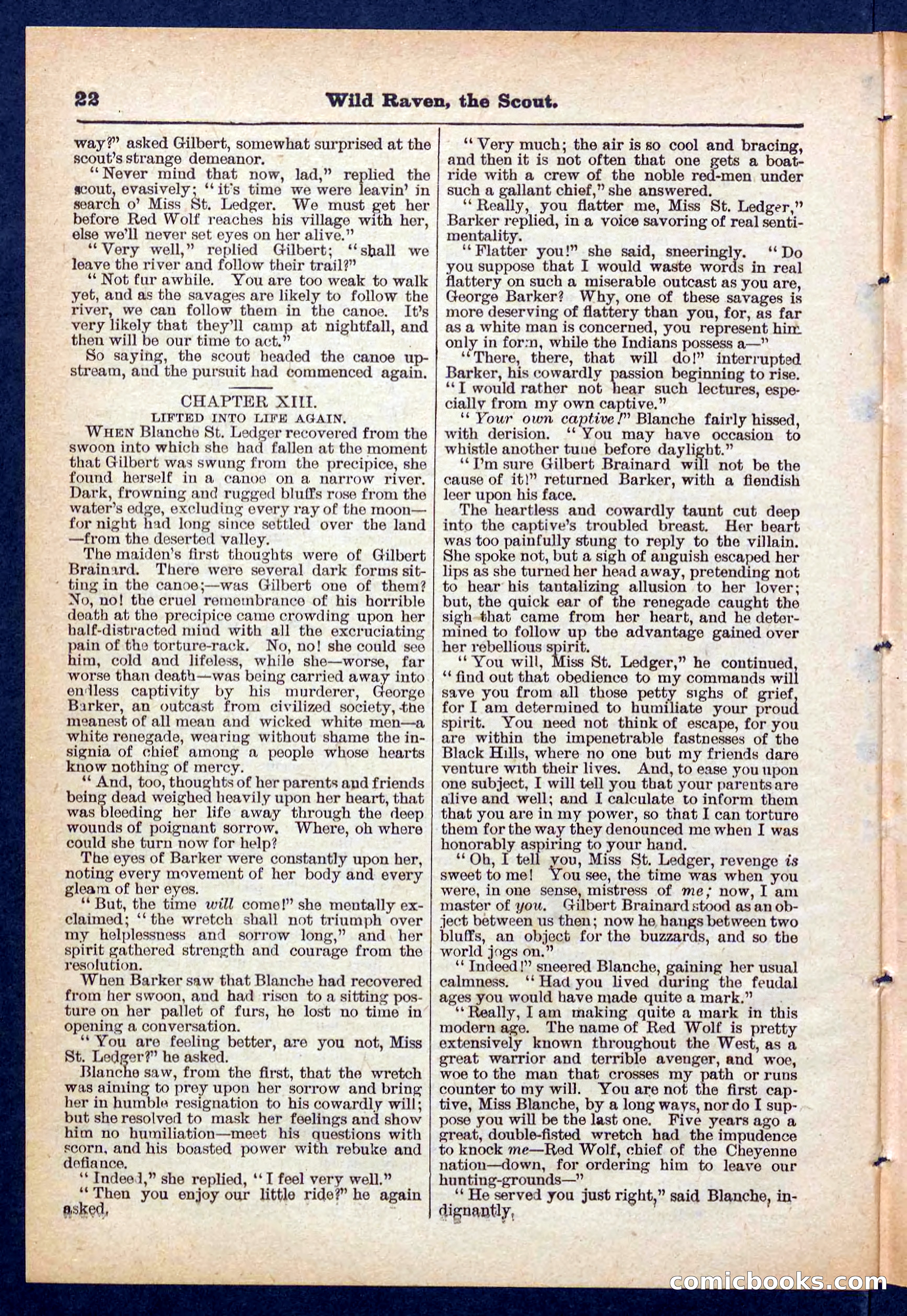 Beadle's Pocket Library No. 448: Wild Raven the Scout — page 22 of 32