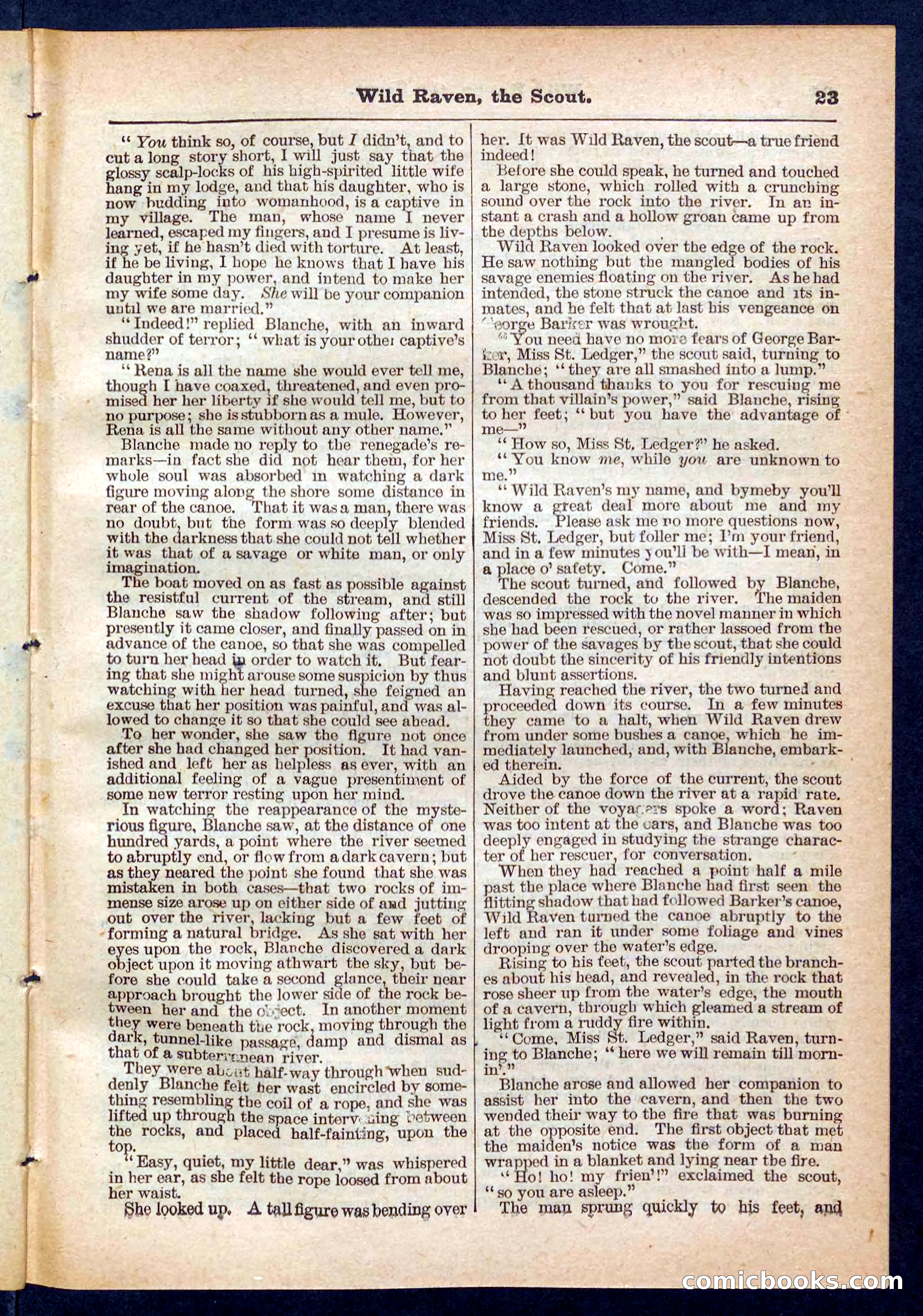 Beadle's Pocket Library No. 448: Wild Raven the Scout — page 23 of 32