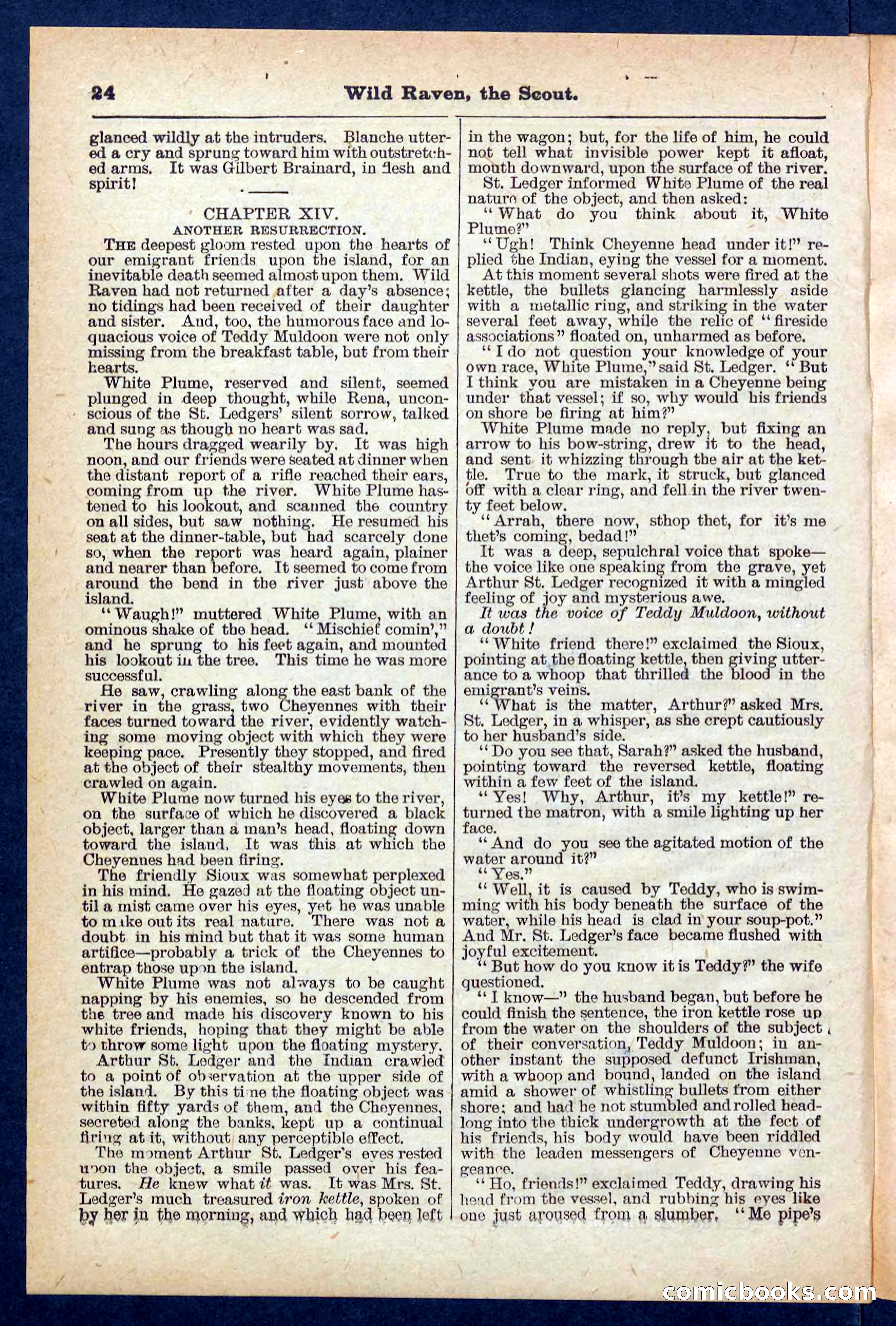Beadle's Pocket Library No. 448: Wild Raven the Scout — page 24 of 32