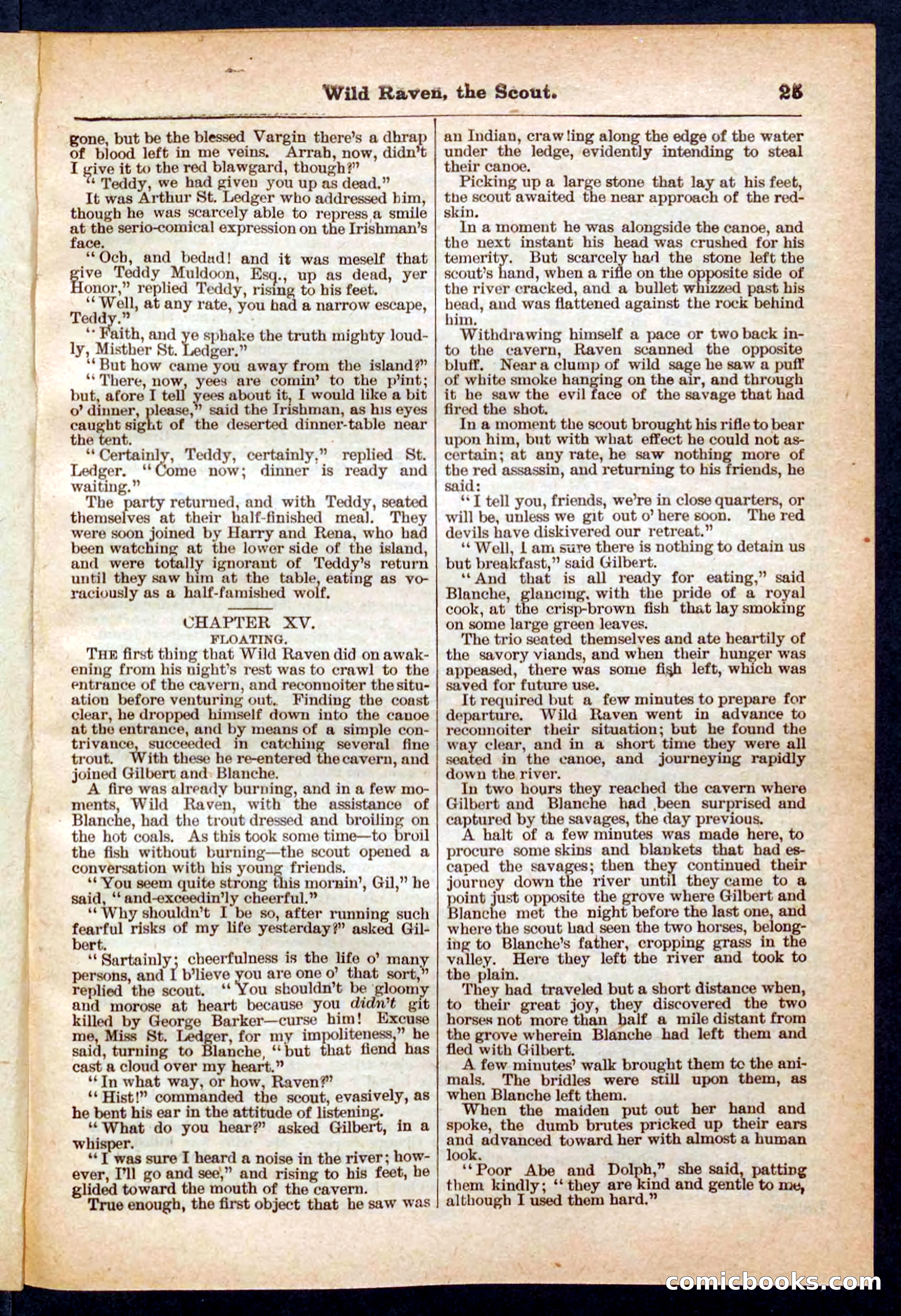 Beadle's Pocket Library No. 448: Wild Raven the Scout — page 25 of 32