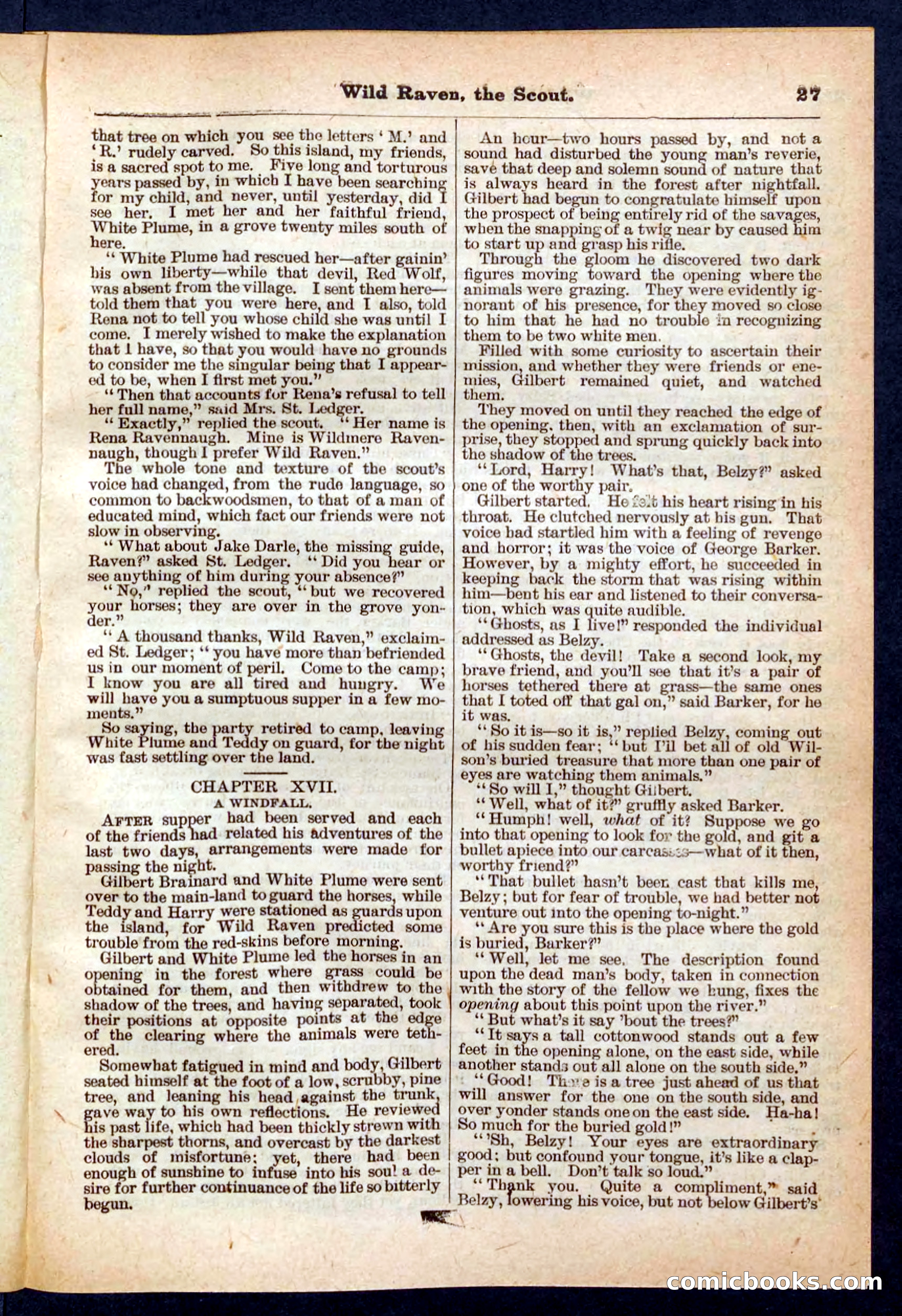 Beadle's Pocket Library No. 448: Wild Raven the Scout — page 27 of 32