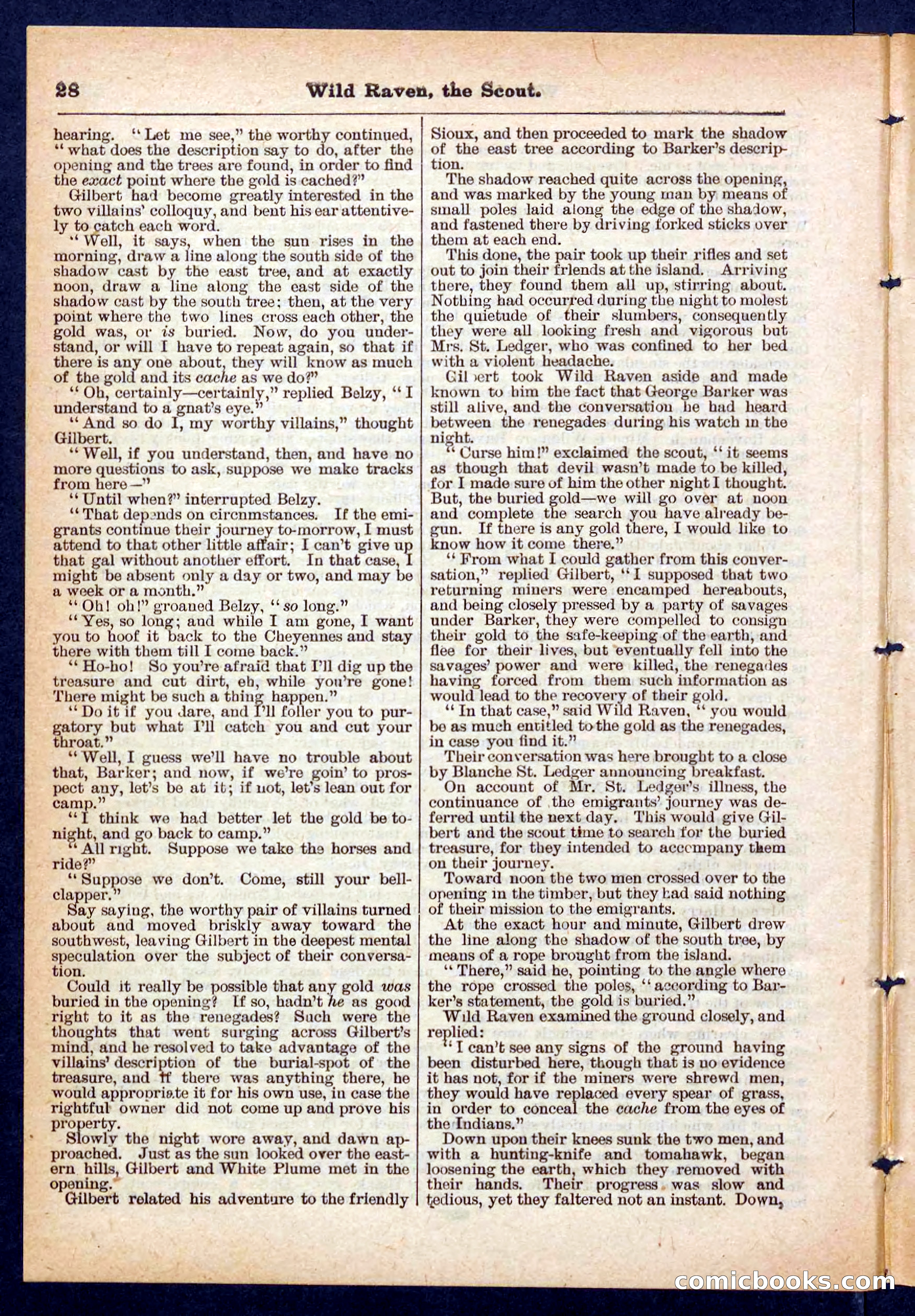 Beadle's Pocket Library No. 448: Wild Raven the Scout — page 28 of 32