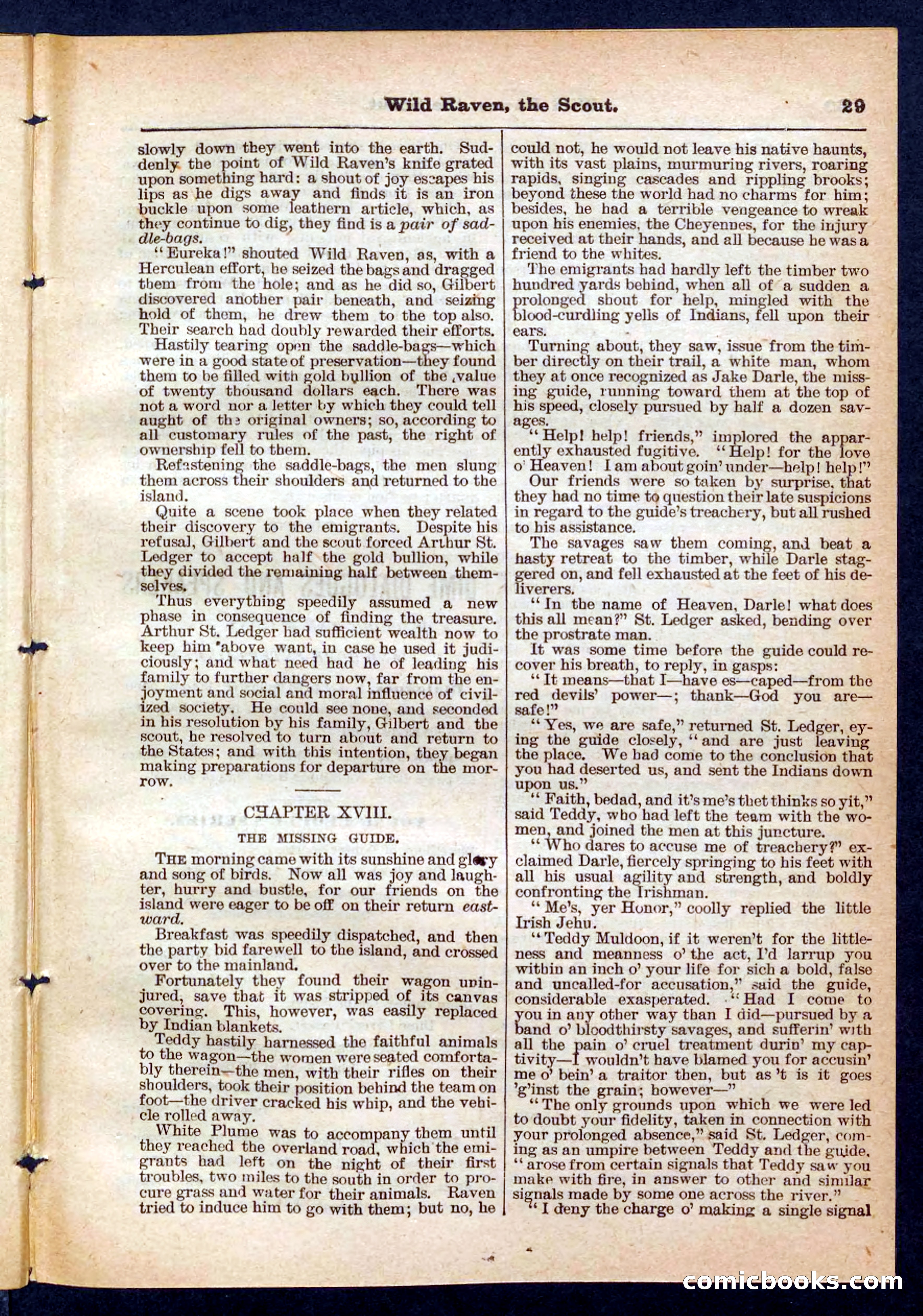 Beadle's Pocket Library No. 448: Wild Raven the Scout — page 29 of 32