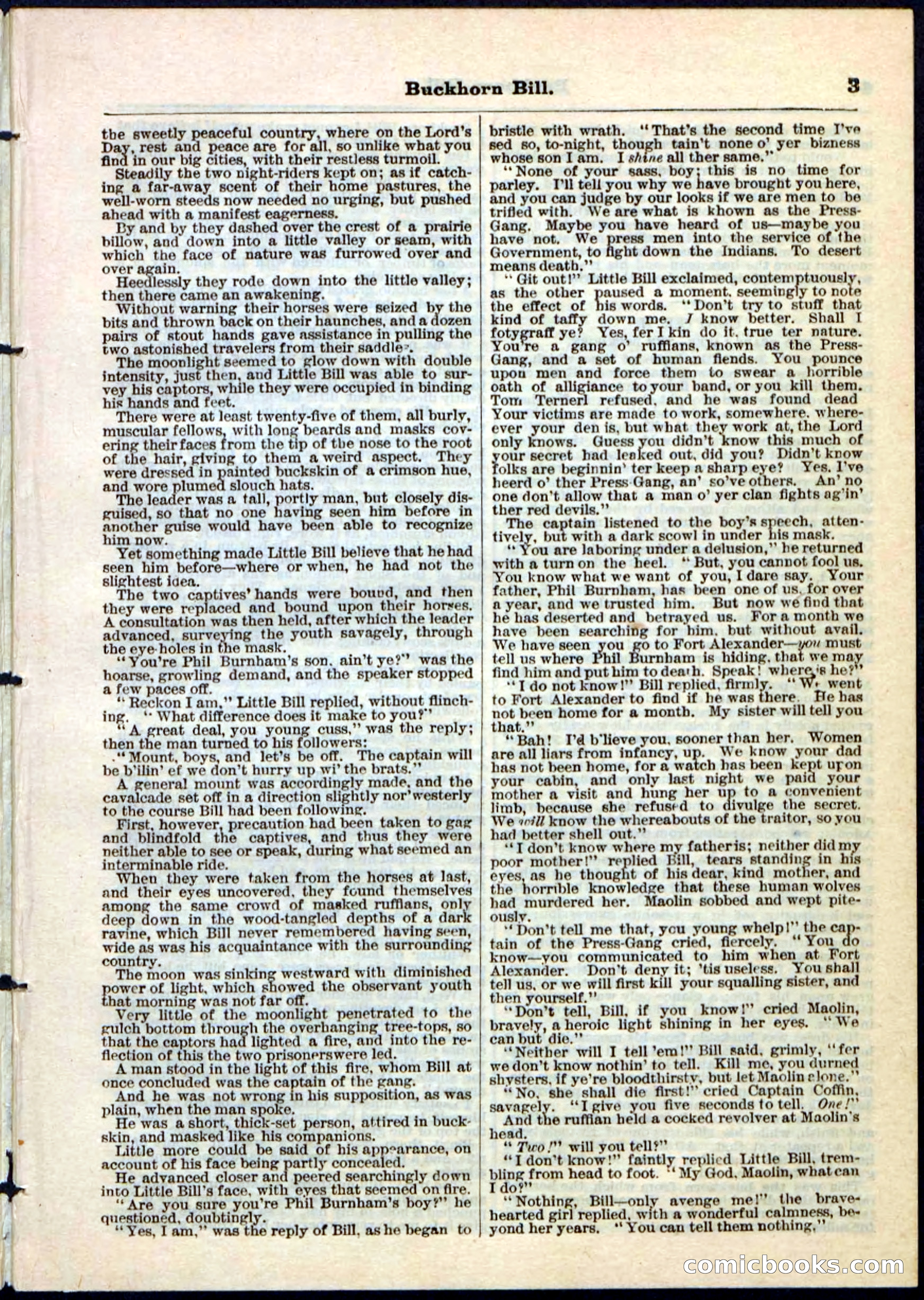 Beadle's Pocket Library No. 45 — page 3 of 32