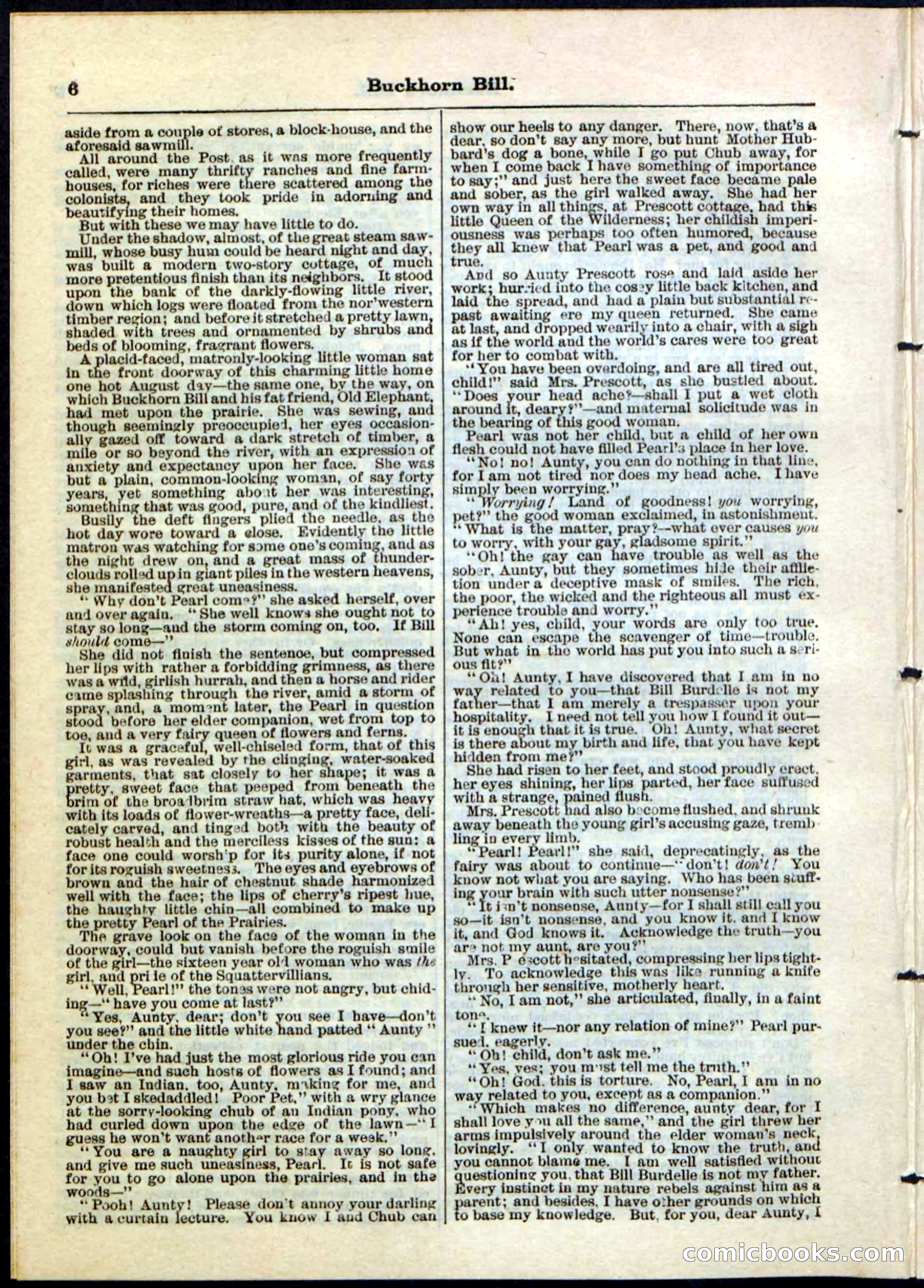 Beadle's Pocket Library No. 45 — page 6 of 32