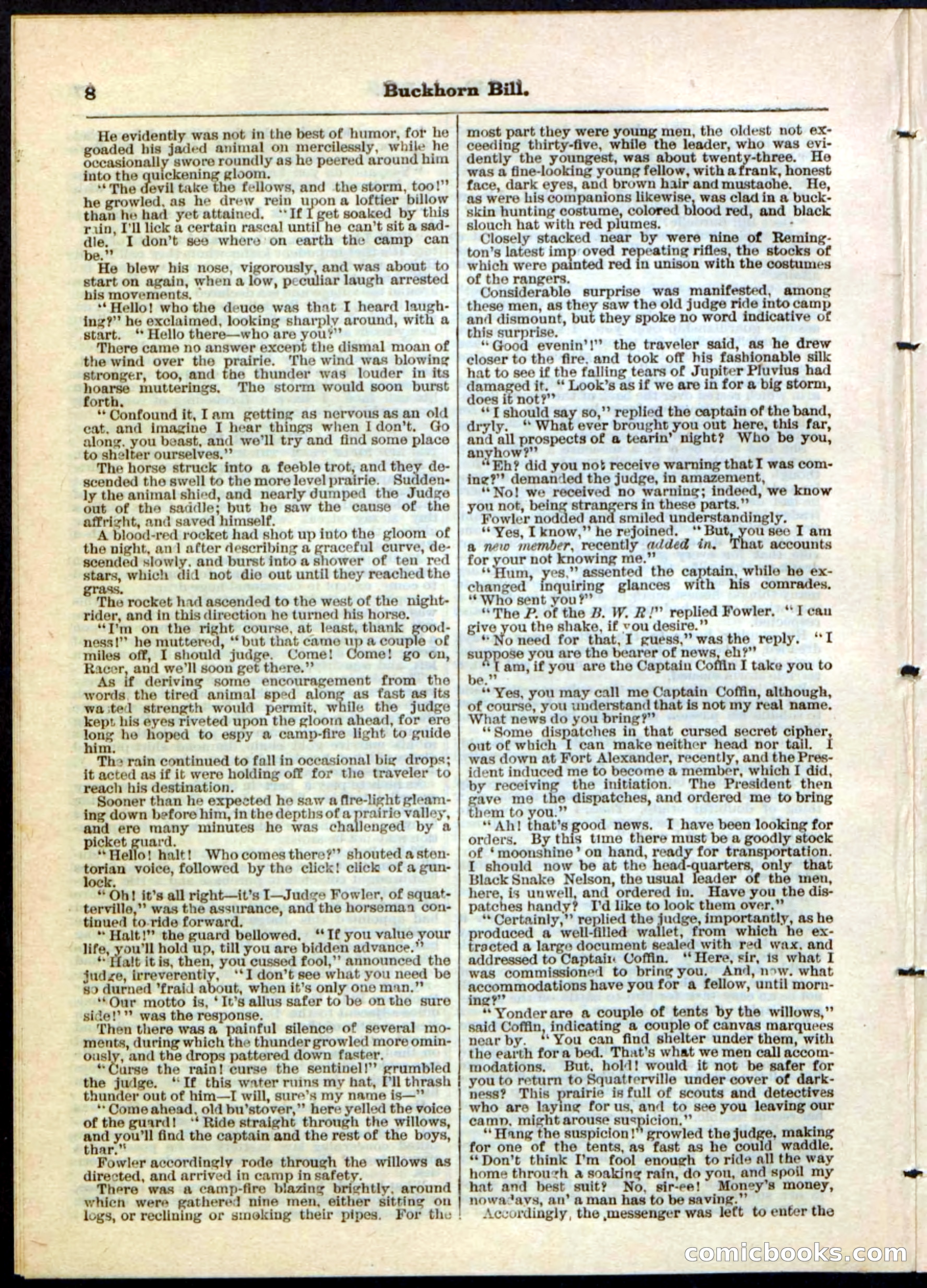 Beadle's Pocket Library No. 45 — page 8 of 32
