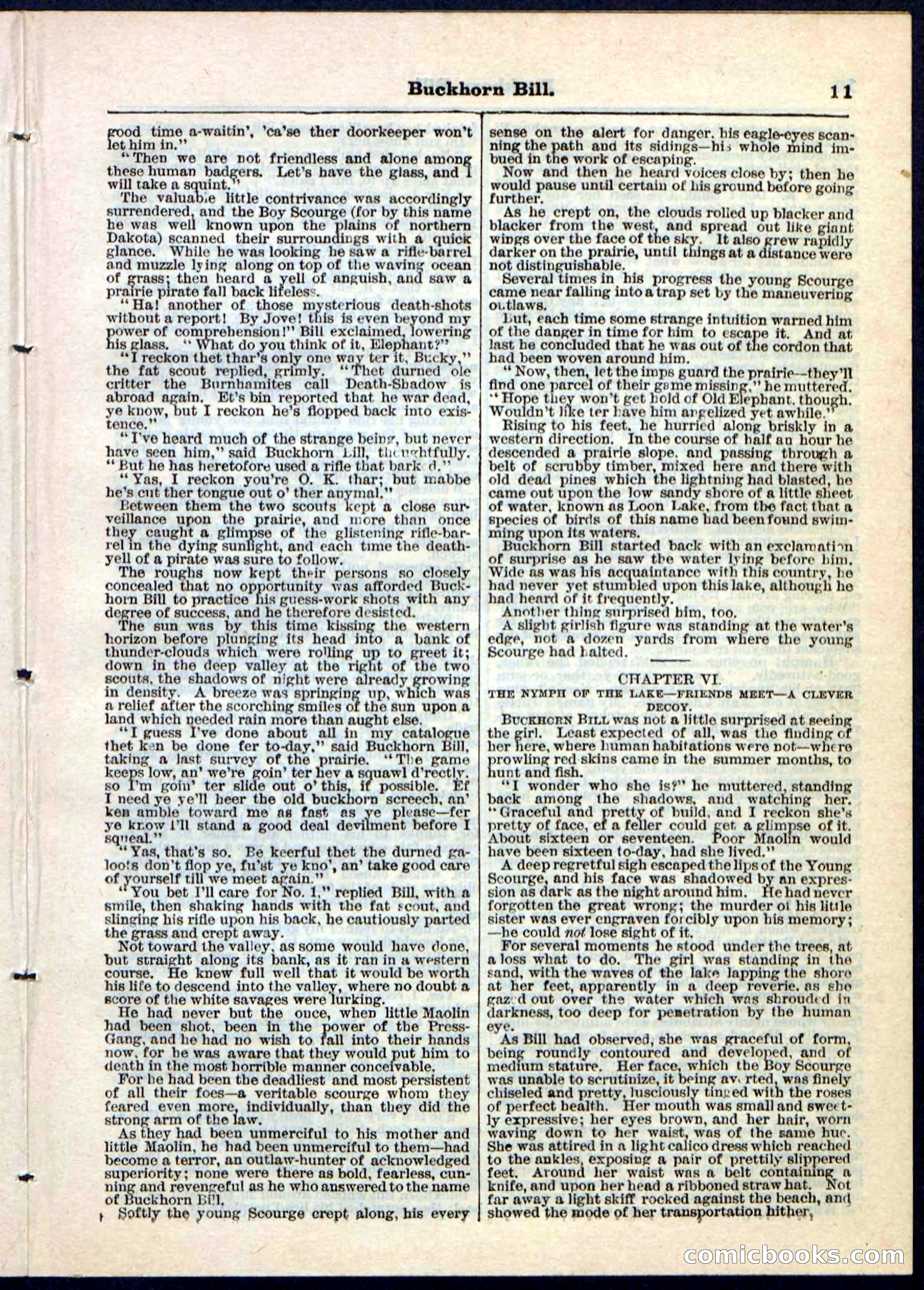 Beadle's Pocket Library No. 45 — page 11 of 32