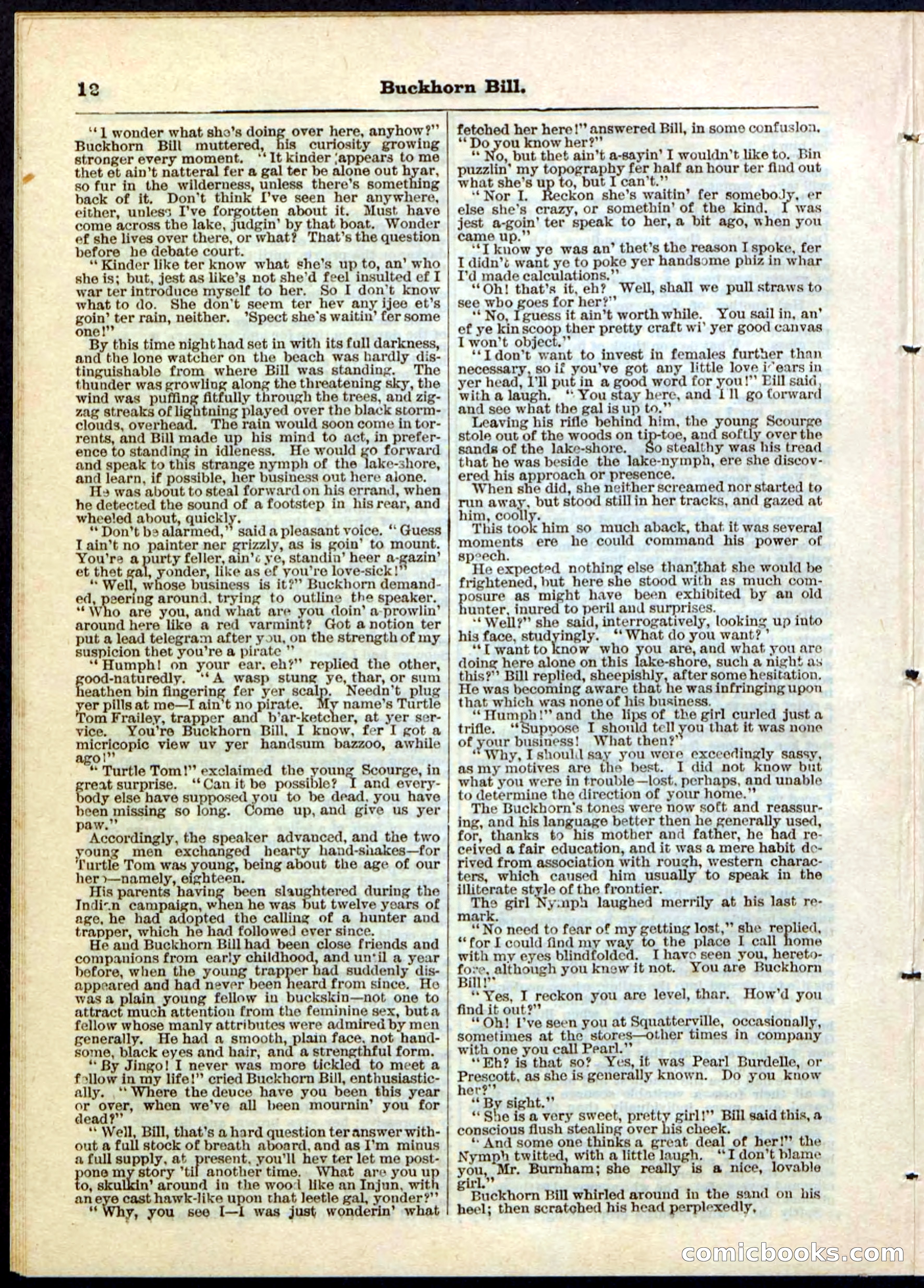 Beadle's Pocket Library No. 45 — page 12 of 32