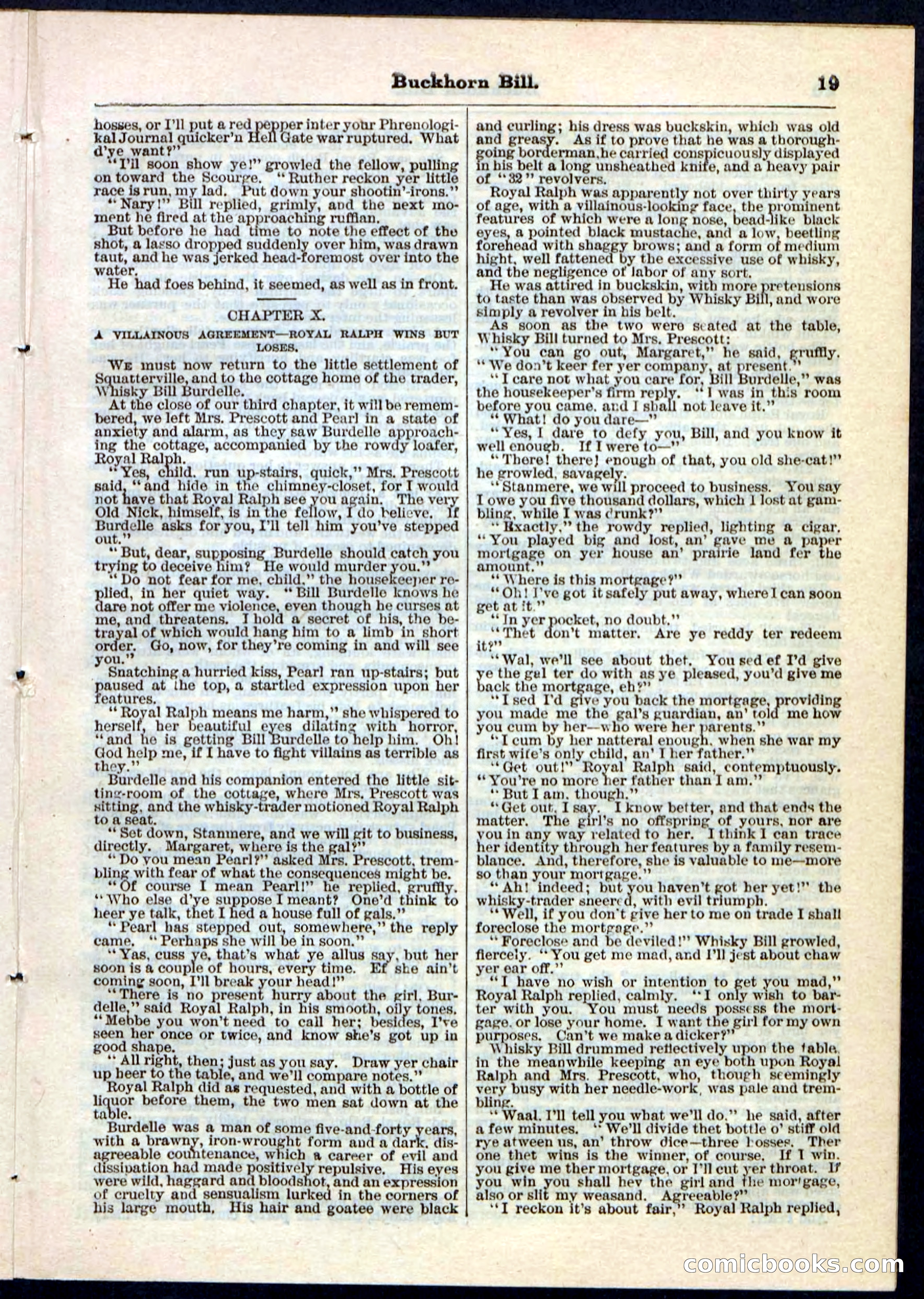 Beadle's Pocket Library No. 45 — page 19 of 32