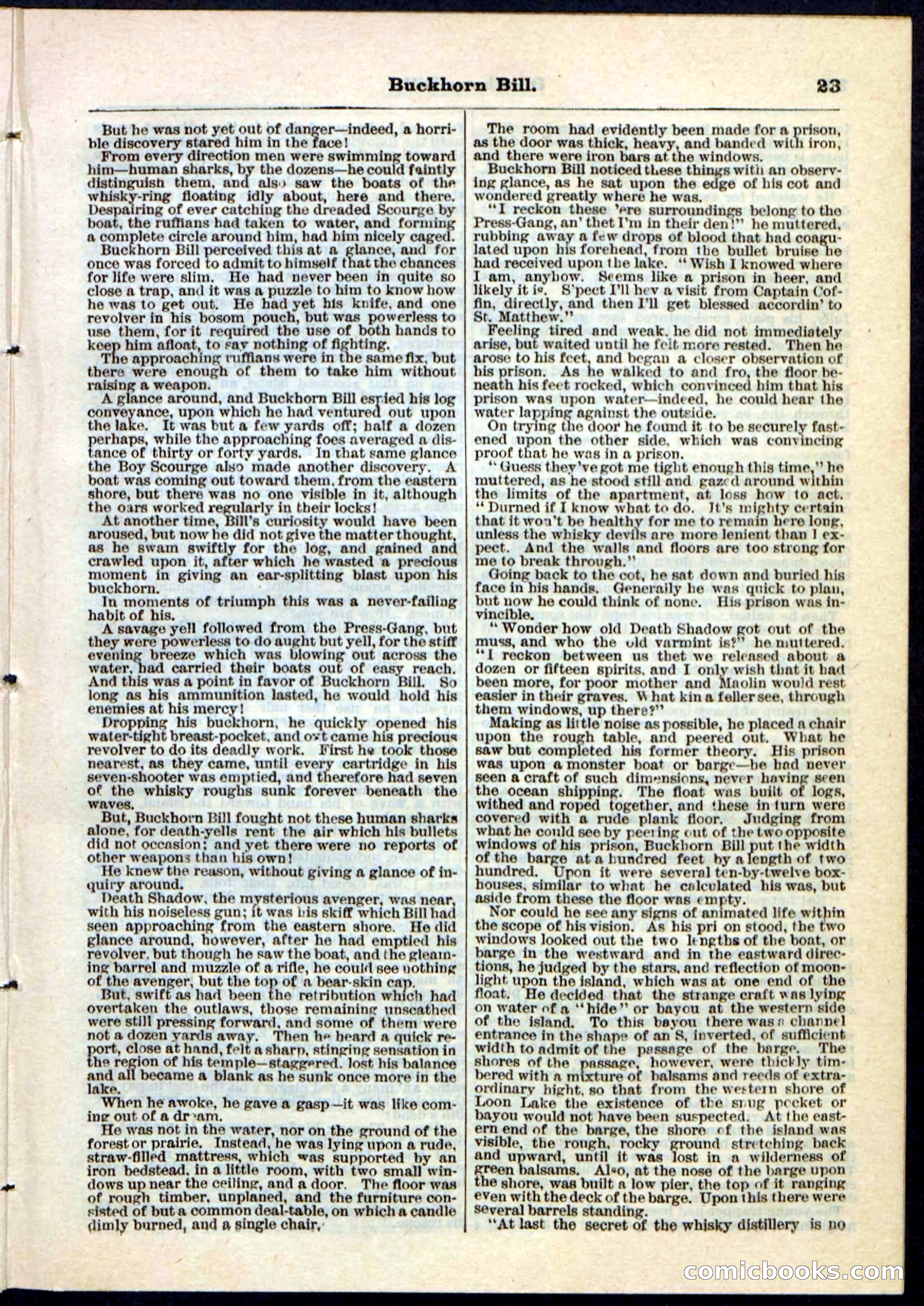 Beadle's Pocket Library No. 45 — page 23 of 32