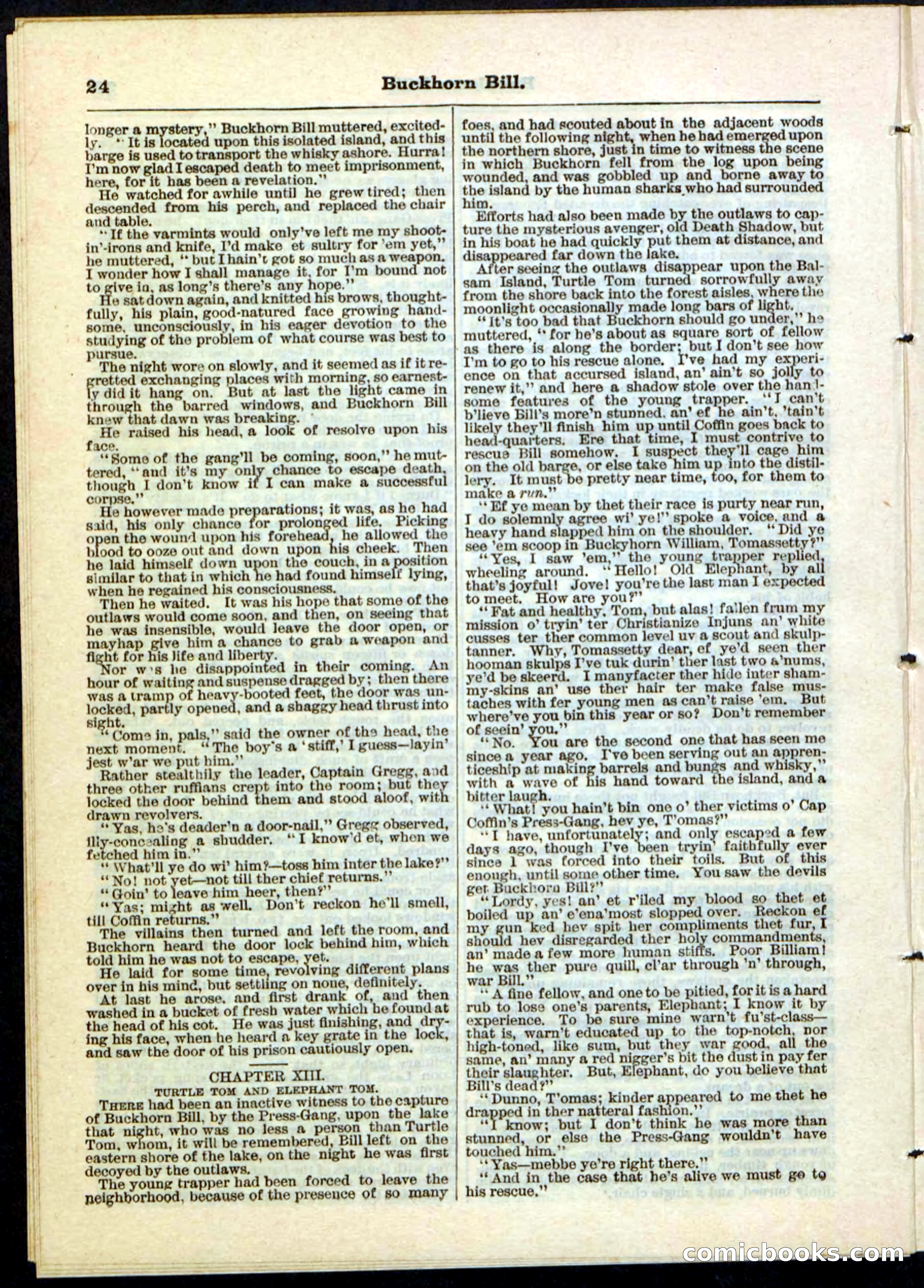 Beadle's Pocket Library No. 45 — page 24 of 32