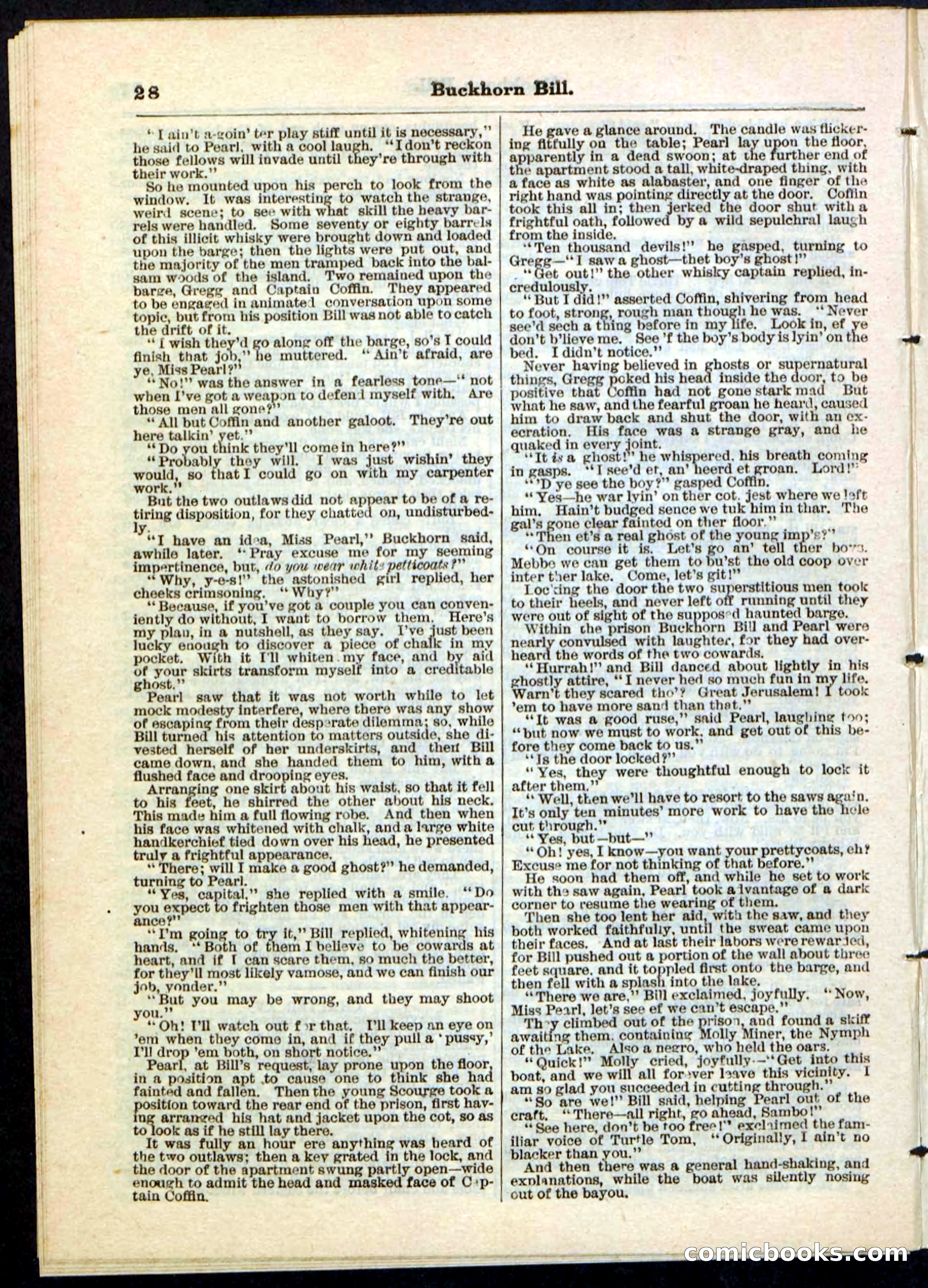 Beadle's Pocket Library No. 45 — page 28 of 32