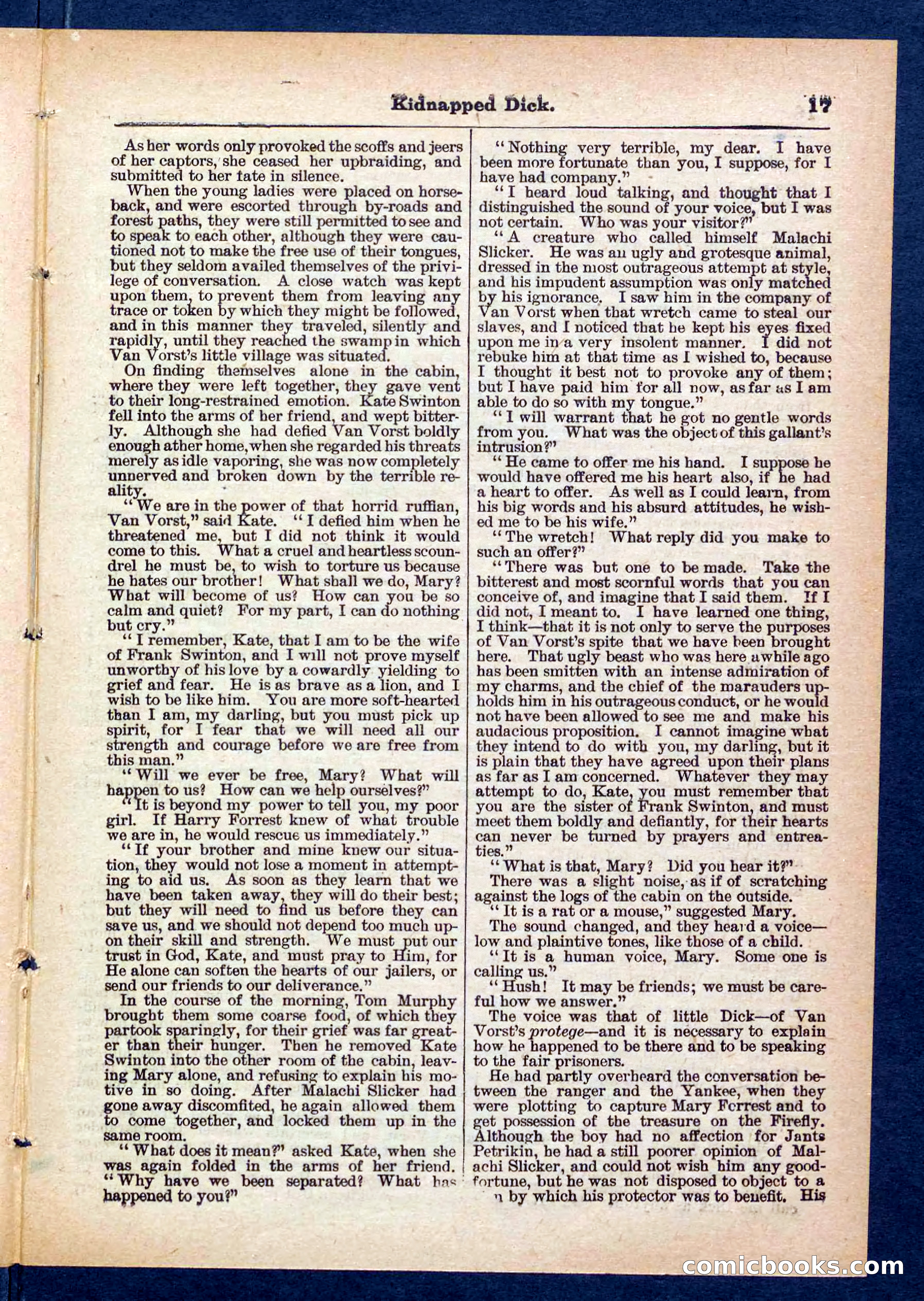 Beadle's Pocket Library No. 450: 'Kidnapped Dick' — page 17 of 32