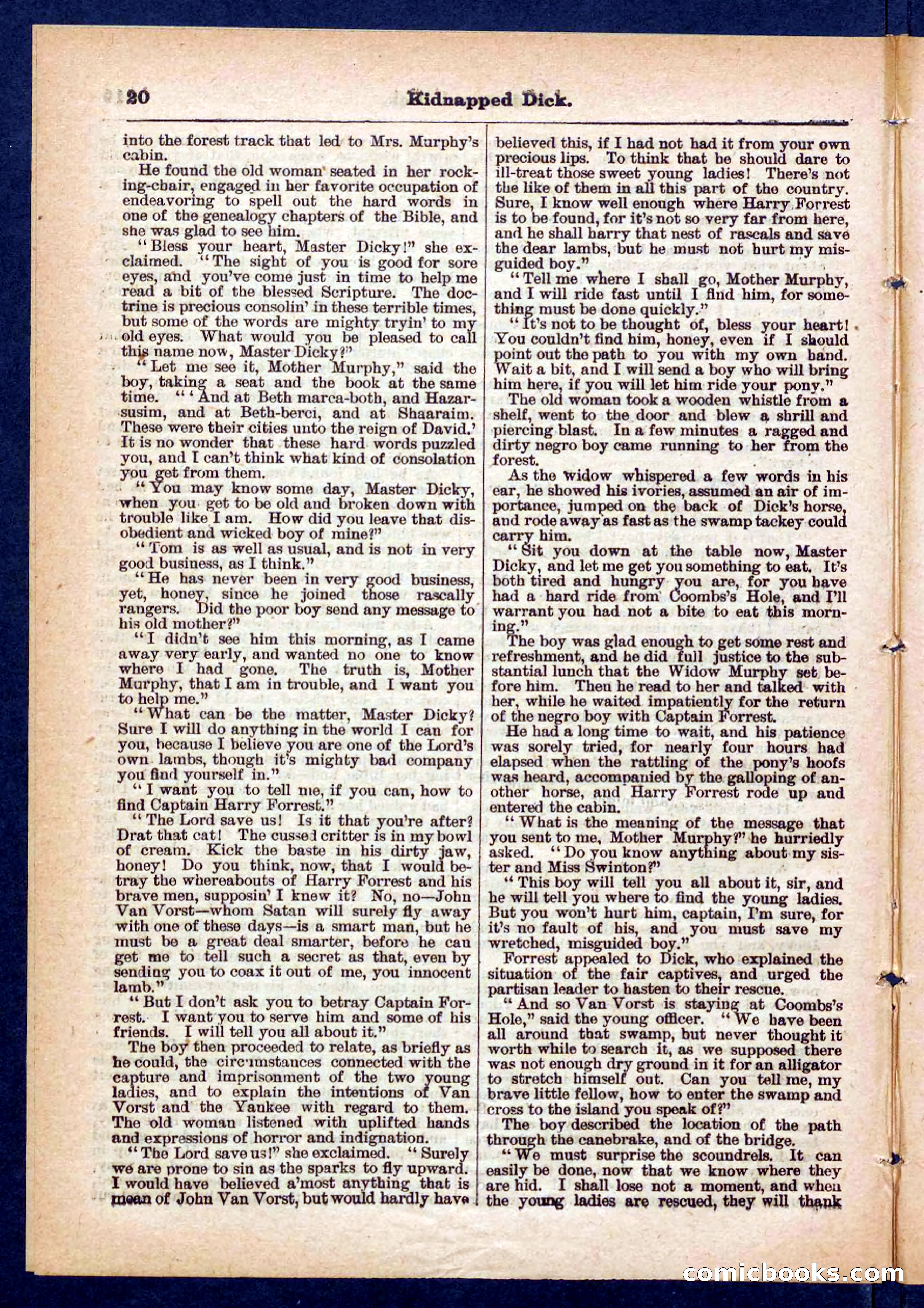 Beadle's Pocket Library No. 450: 'Kidnapped Dick' — page 20 of 32