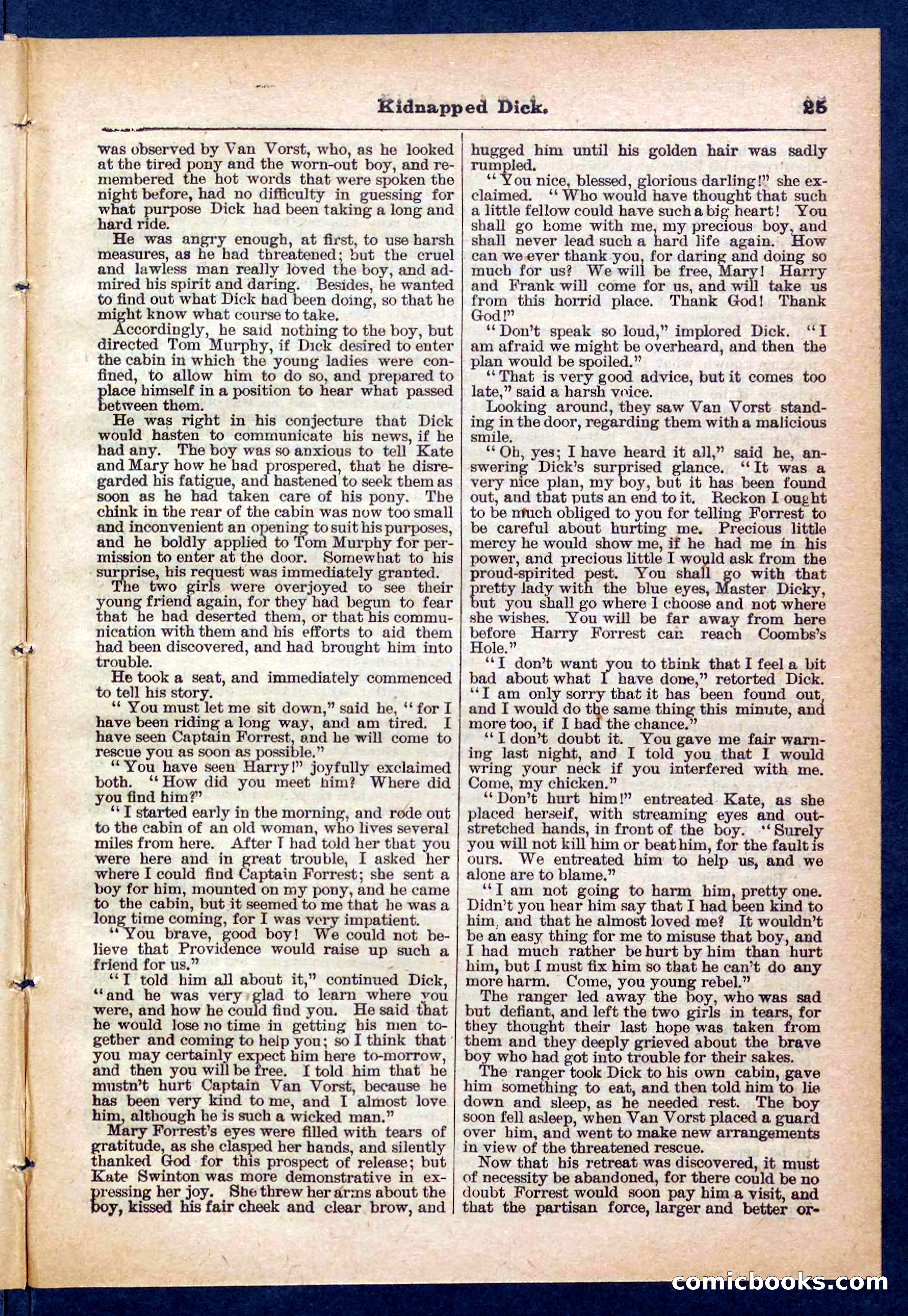 Beadle's Pocket Library No. 450: 'Kidnapped Dick' — page 25 of 32